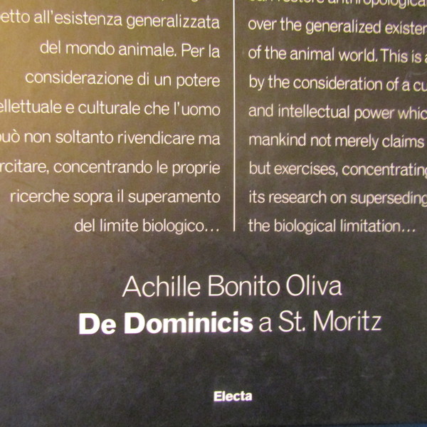 De Dominicis a St. Moritz