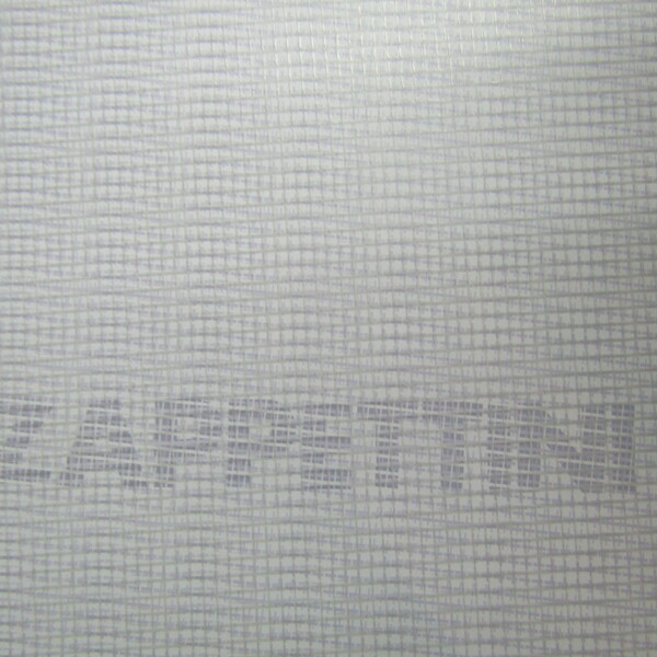 Gianfranco Zappettini