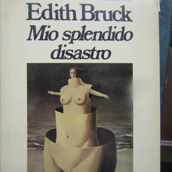 Mio splendido disastro