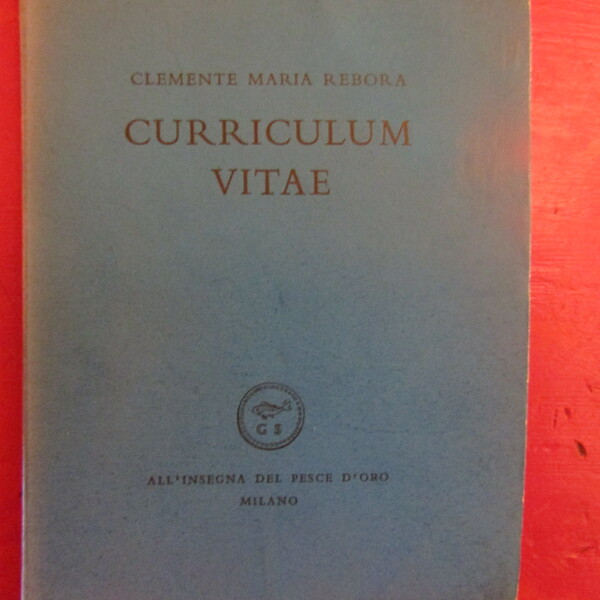 Curriculum vitae