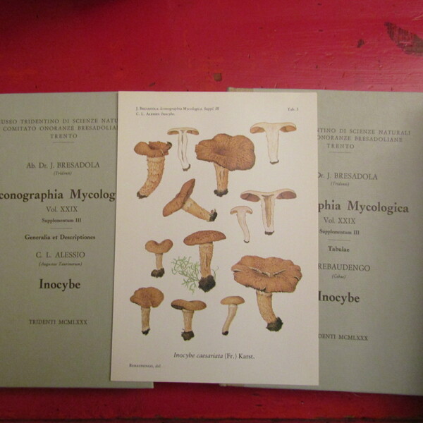 Iconographia Mycologica Vol. XXIX Supplemento III