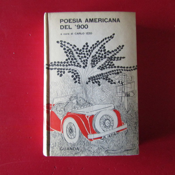 Poesia Americana del '900