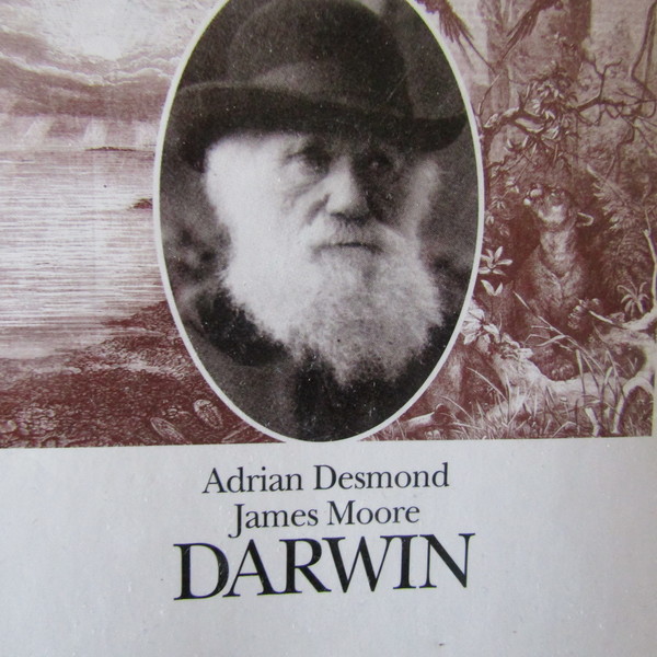 Darwin