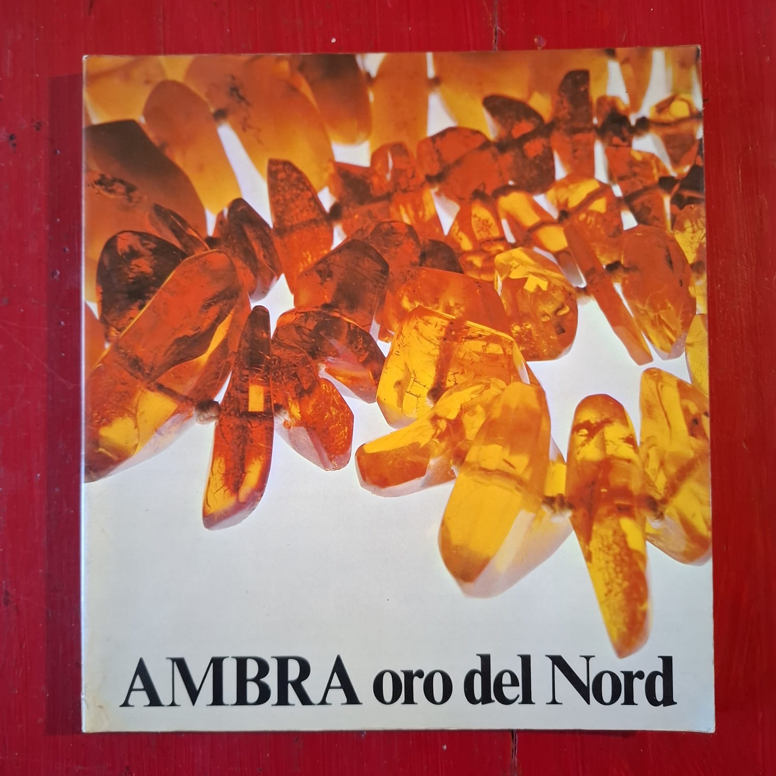 Ambra oro del Nord