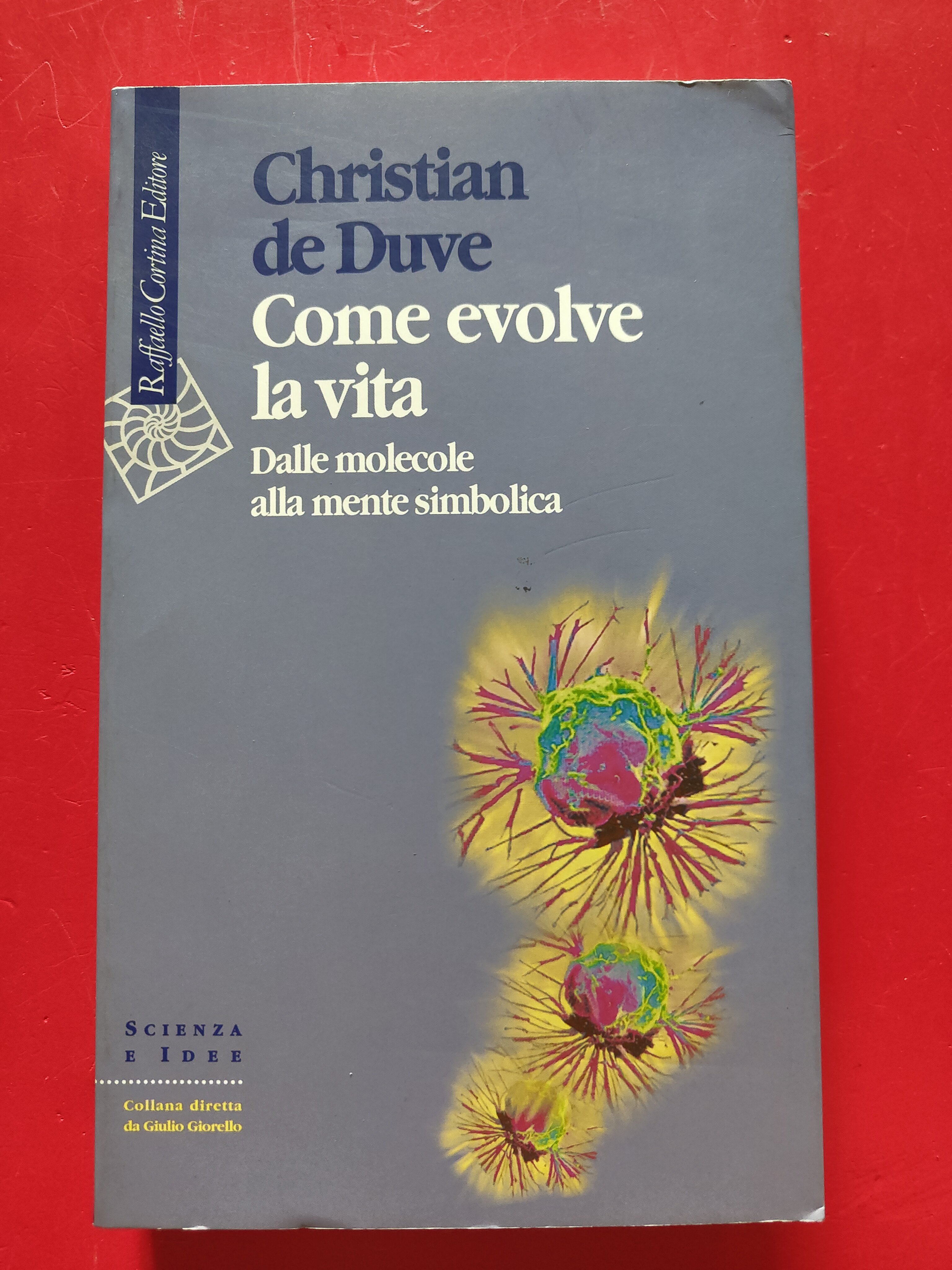 Come evolve la vita