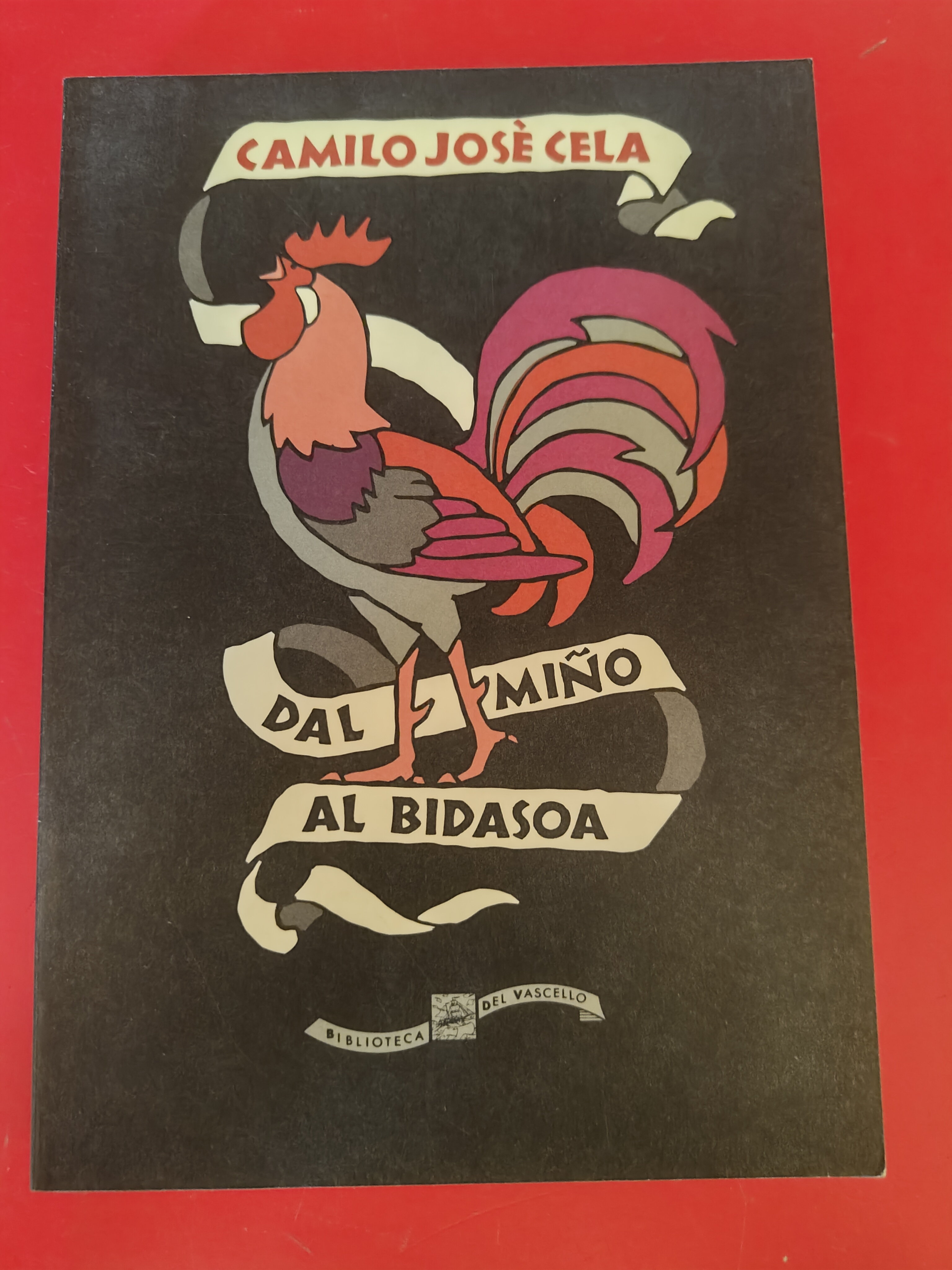 Dal Mino al Bidasoa