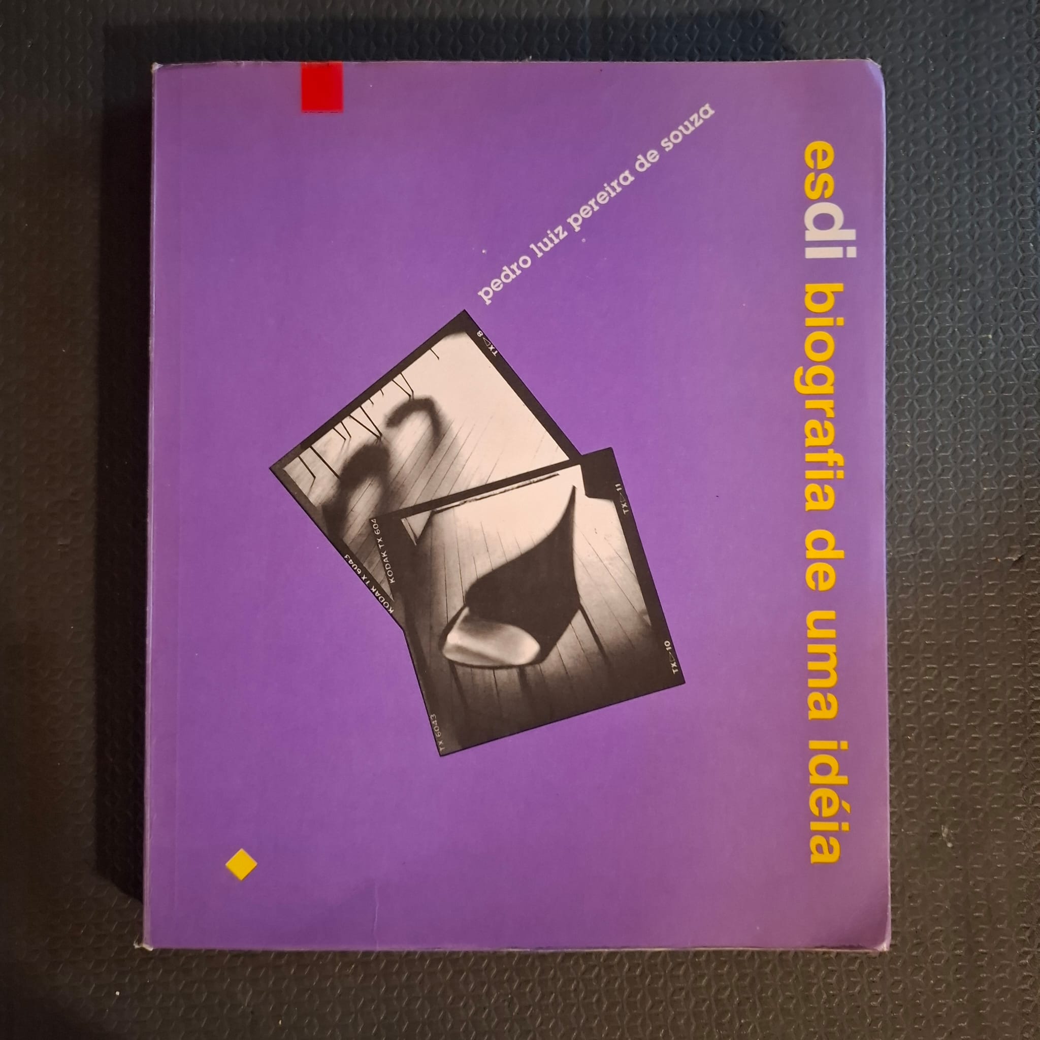 ESDI: Biografia de uma idèia