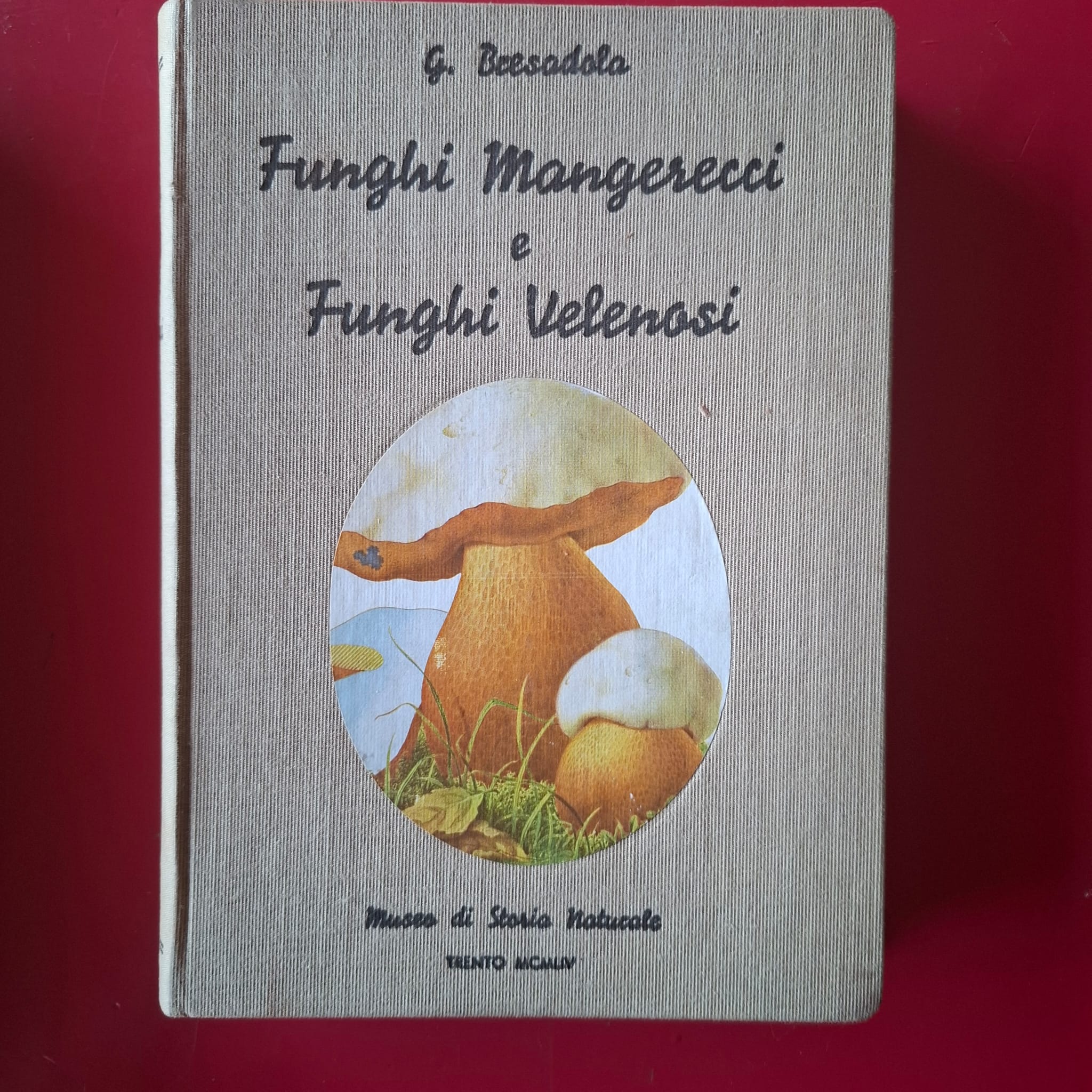 Funghi mancerecci e funghi velenosi