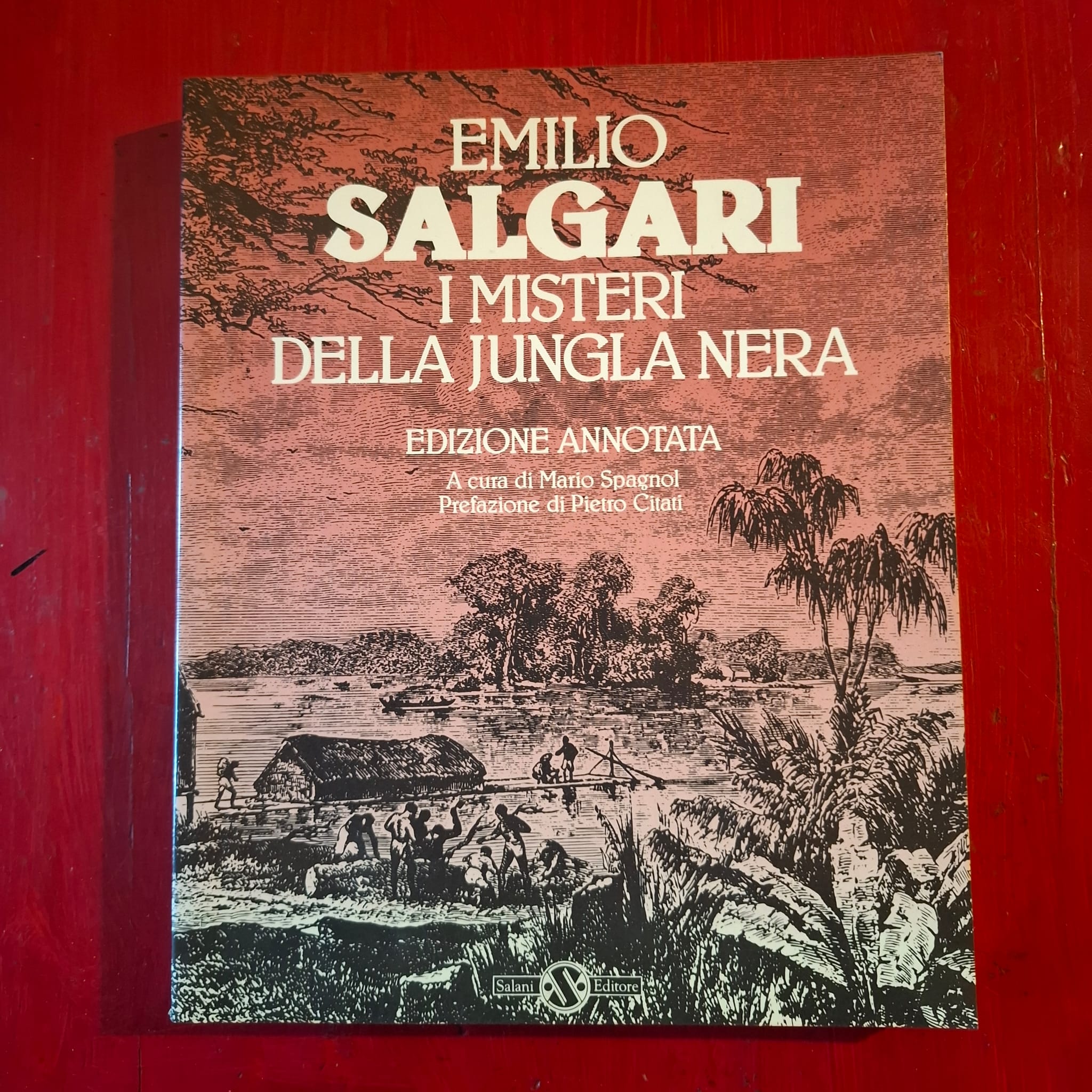 I misteri della jungla nera