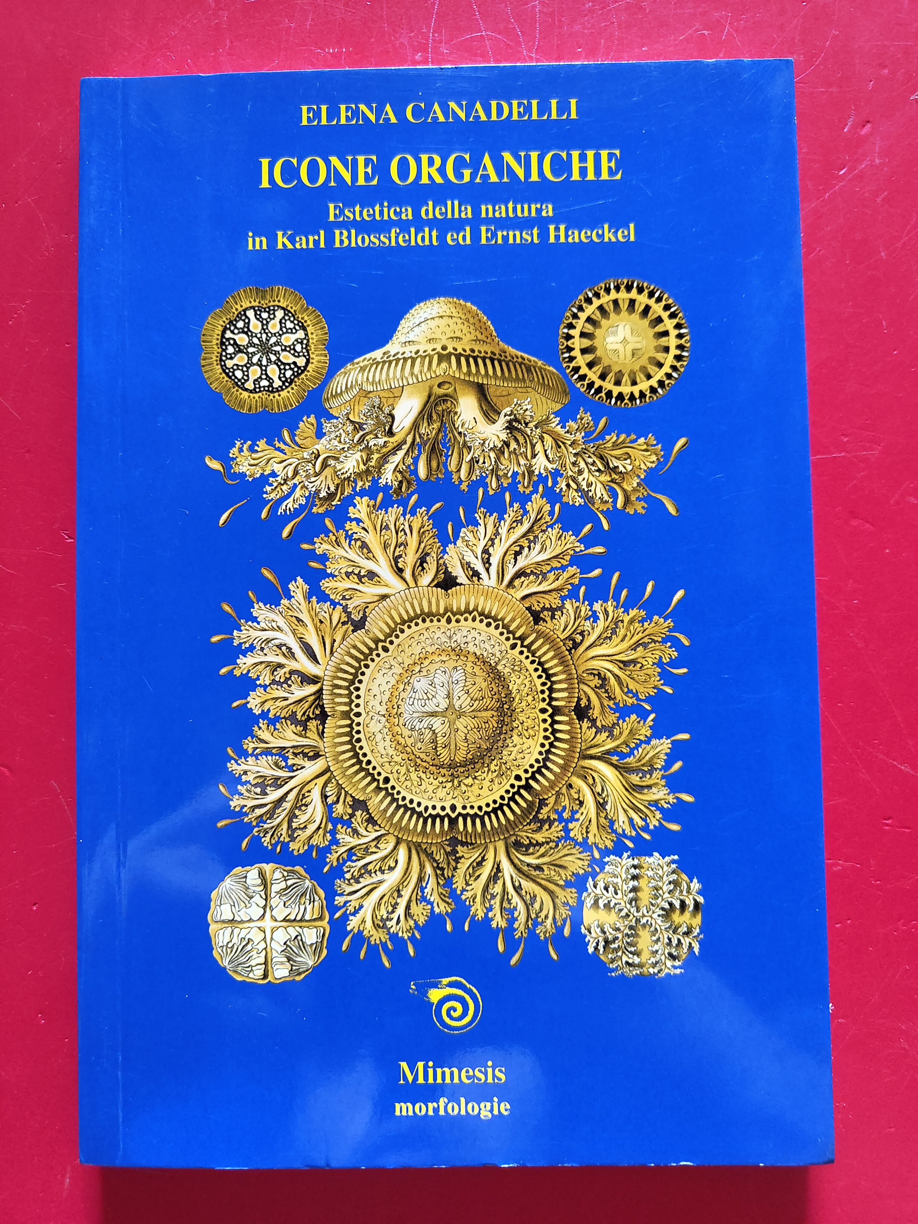 Icone Organiche