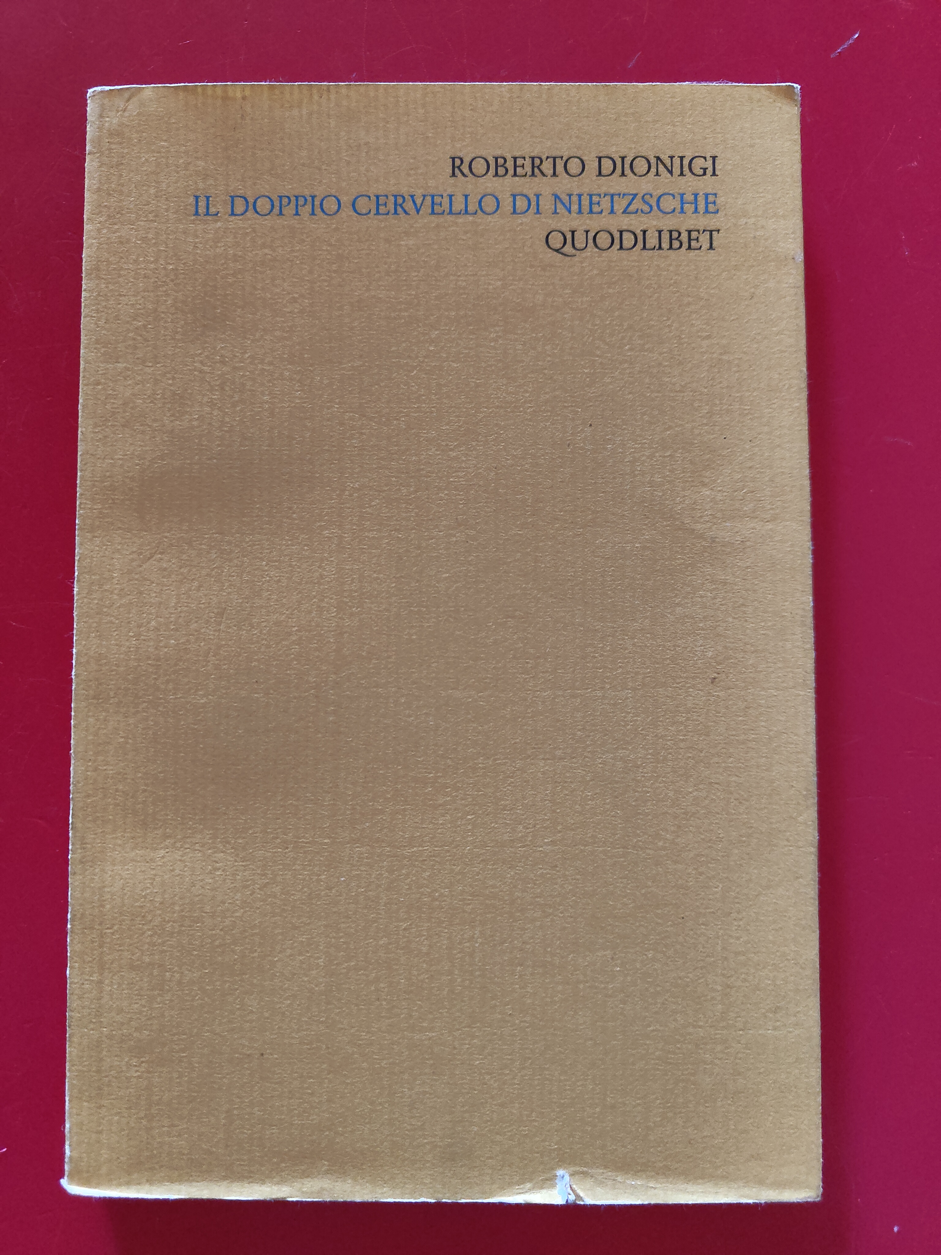 Il doppio cervello di Nietzsche