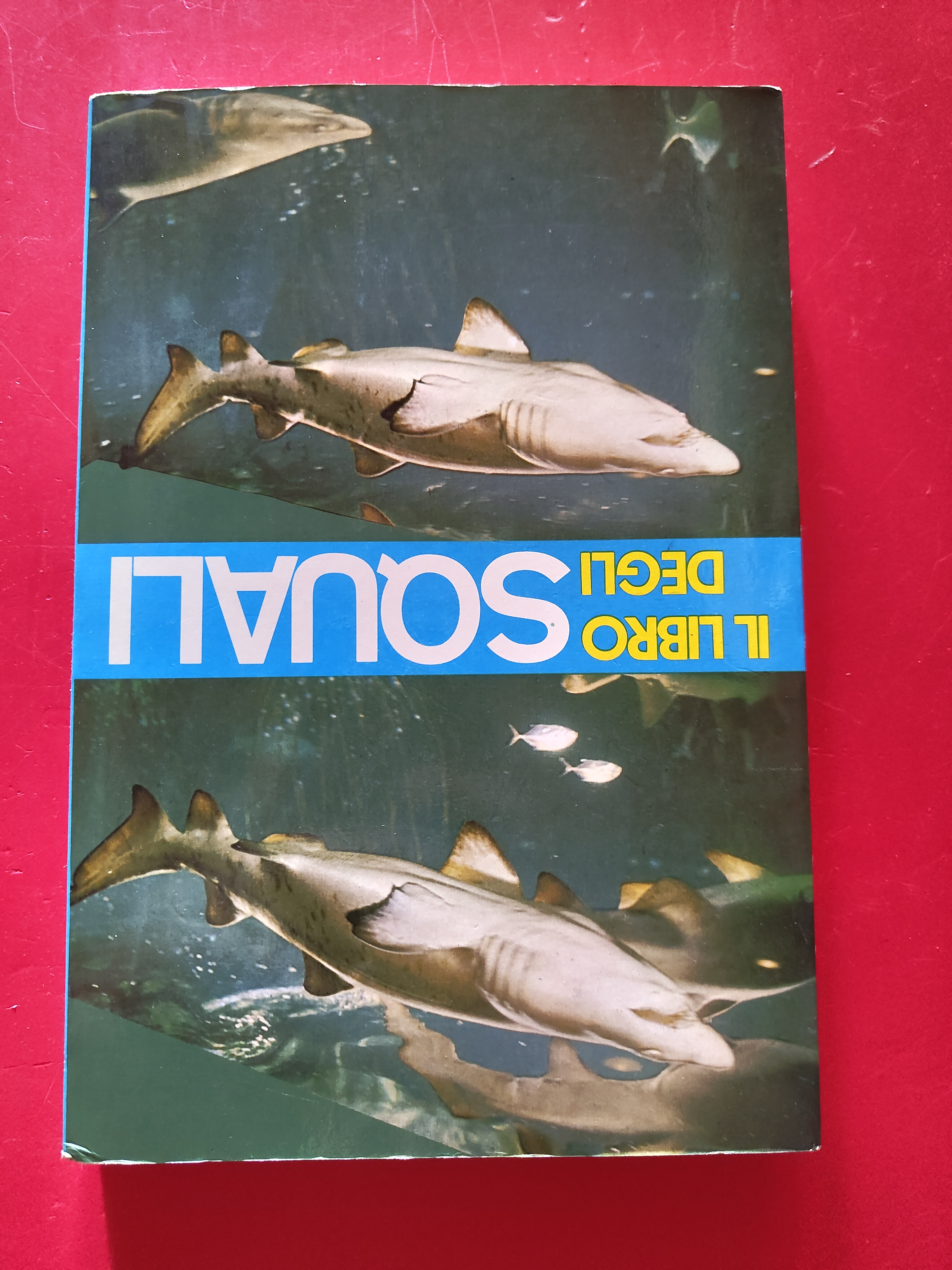 Il libro degli squali