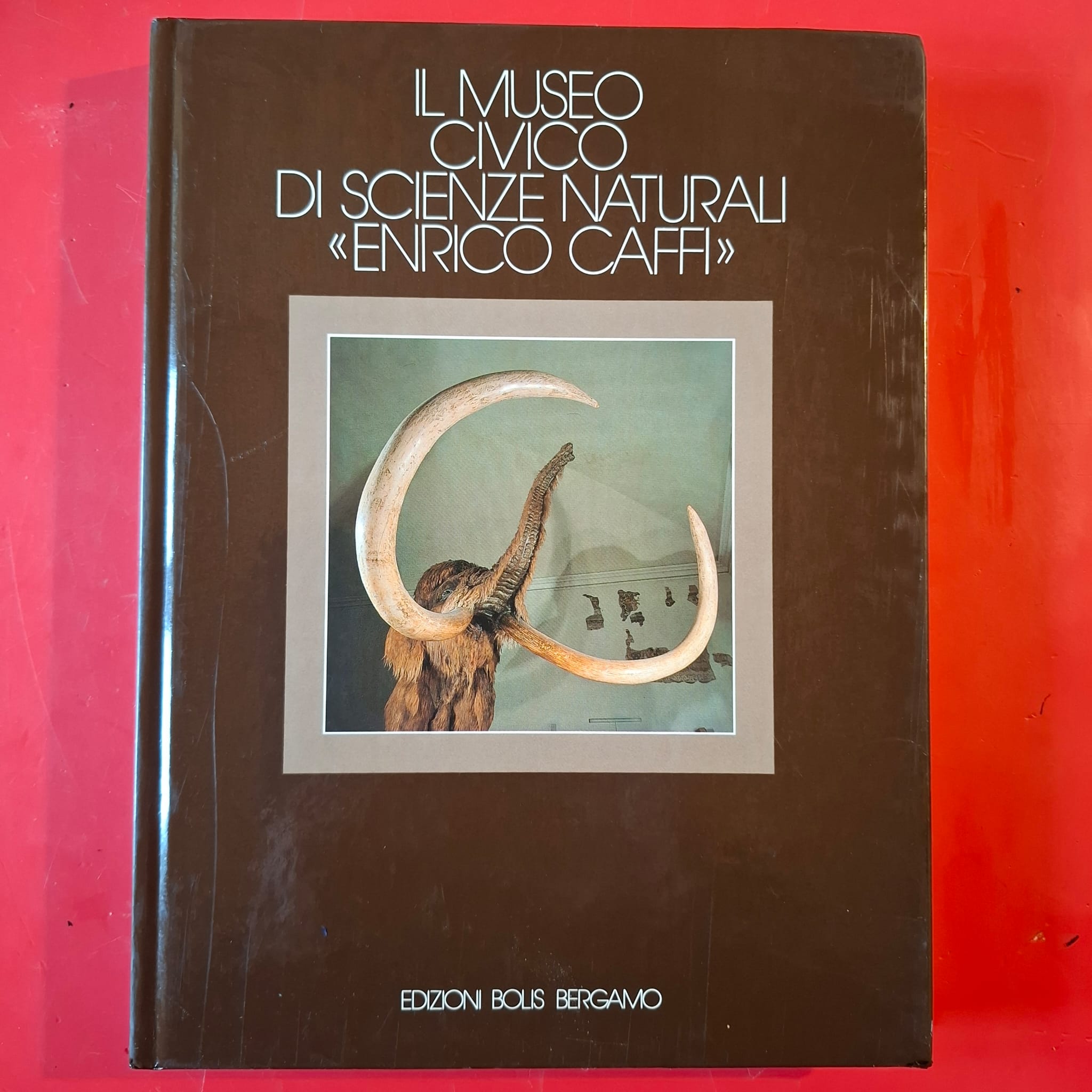 Il Museo Civico di Scienze Naturali 'Enrico Caffi'