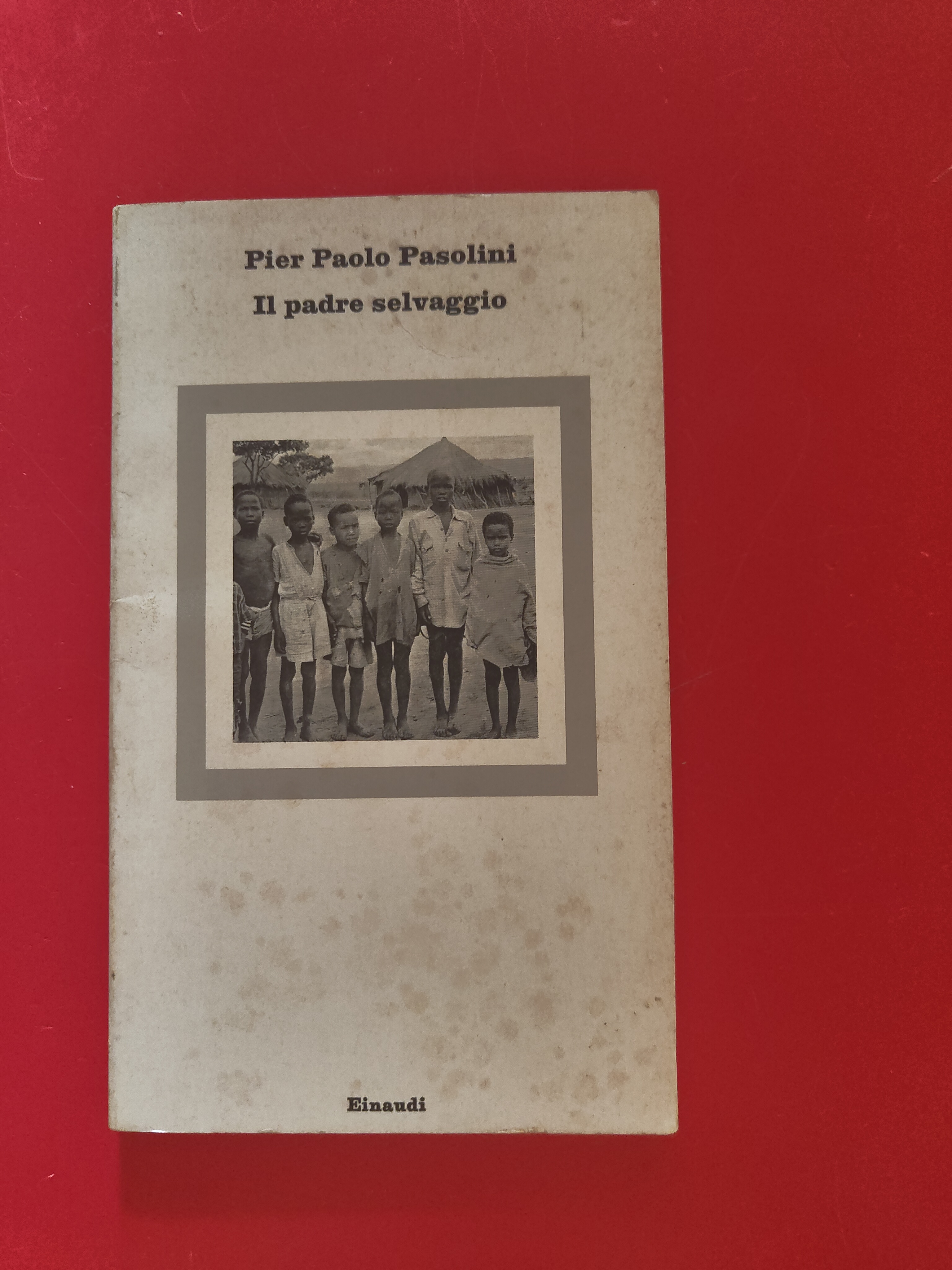 Il padre selvaggio