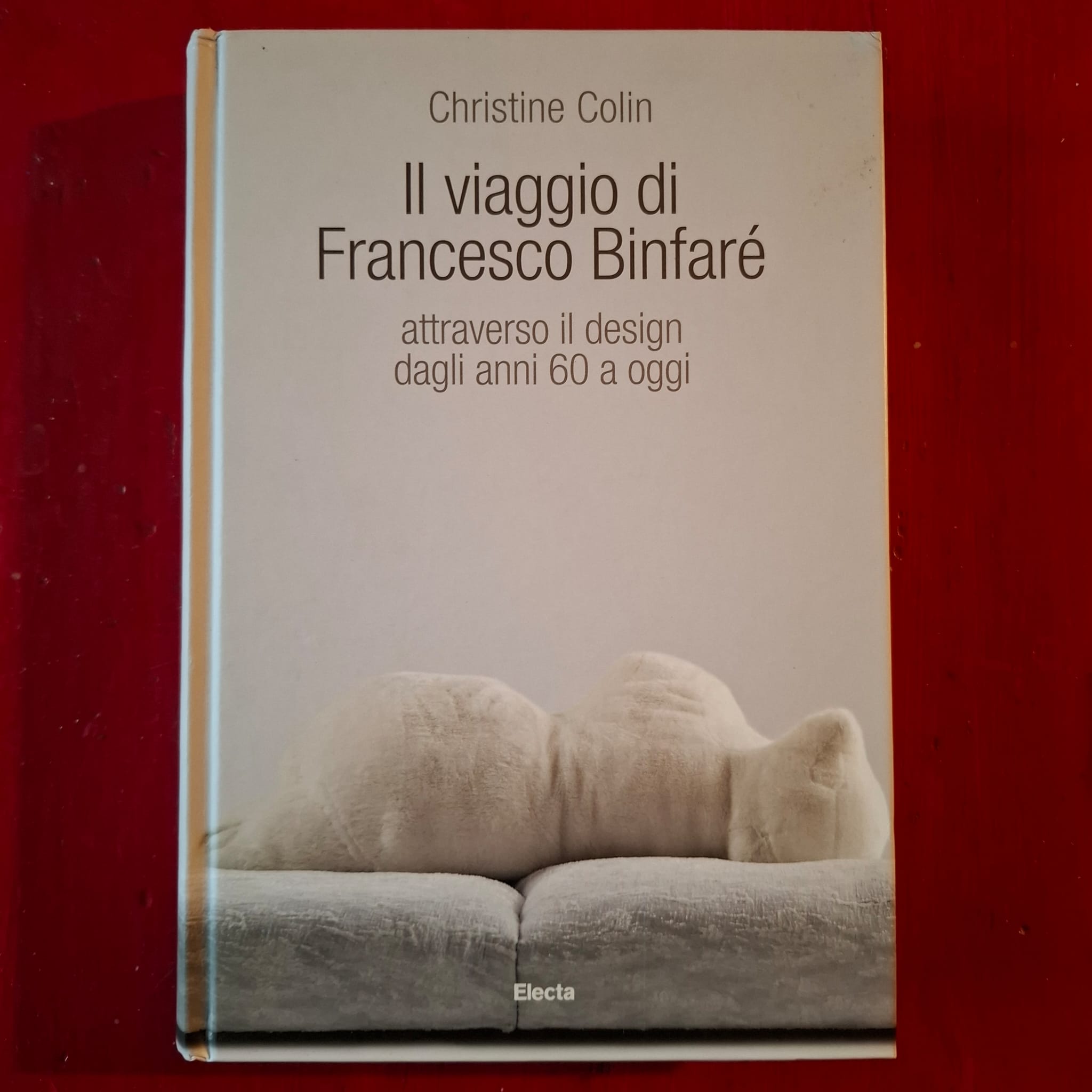 Il viaggio di Francesco Binfarè