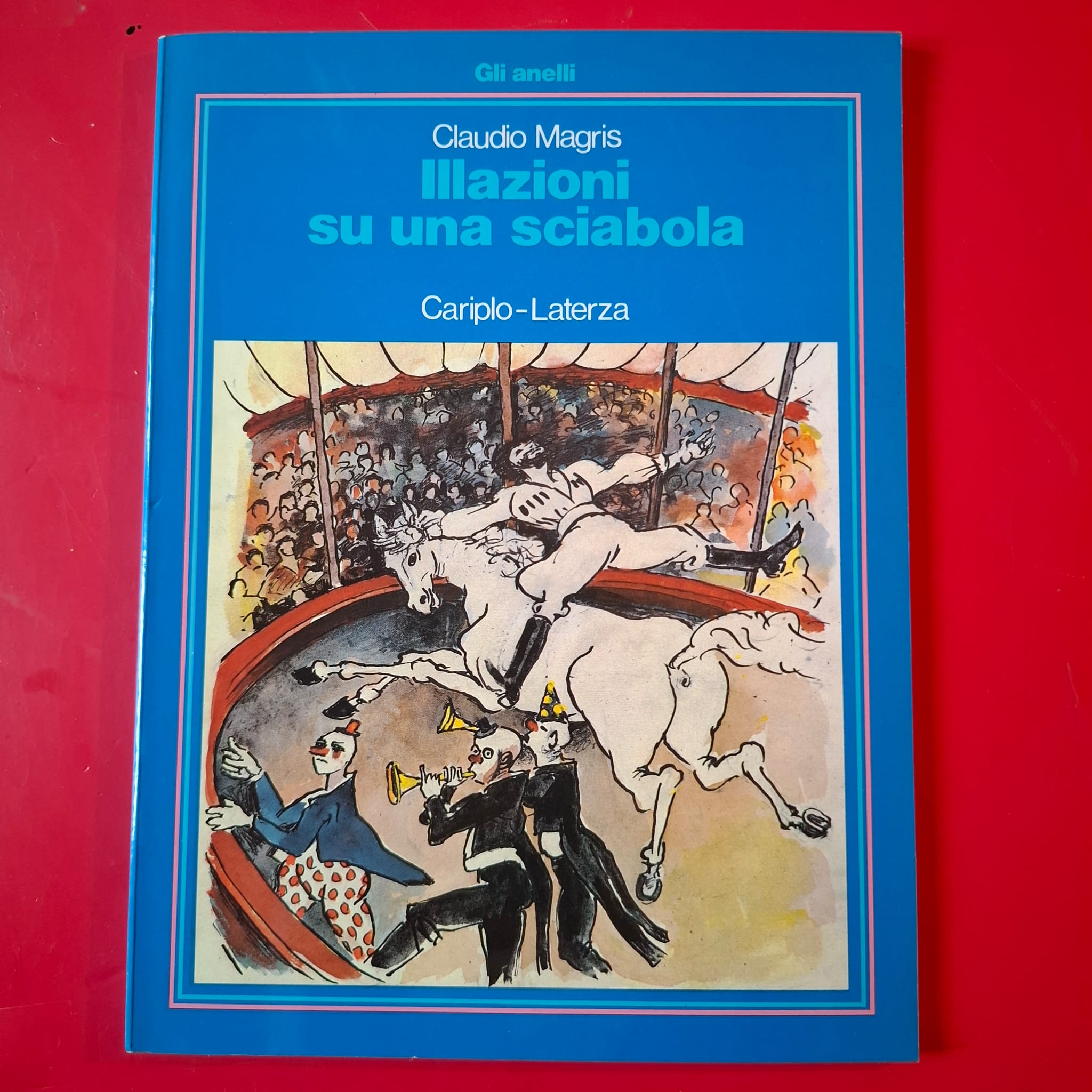 Illazioni su una sciabola