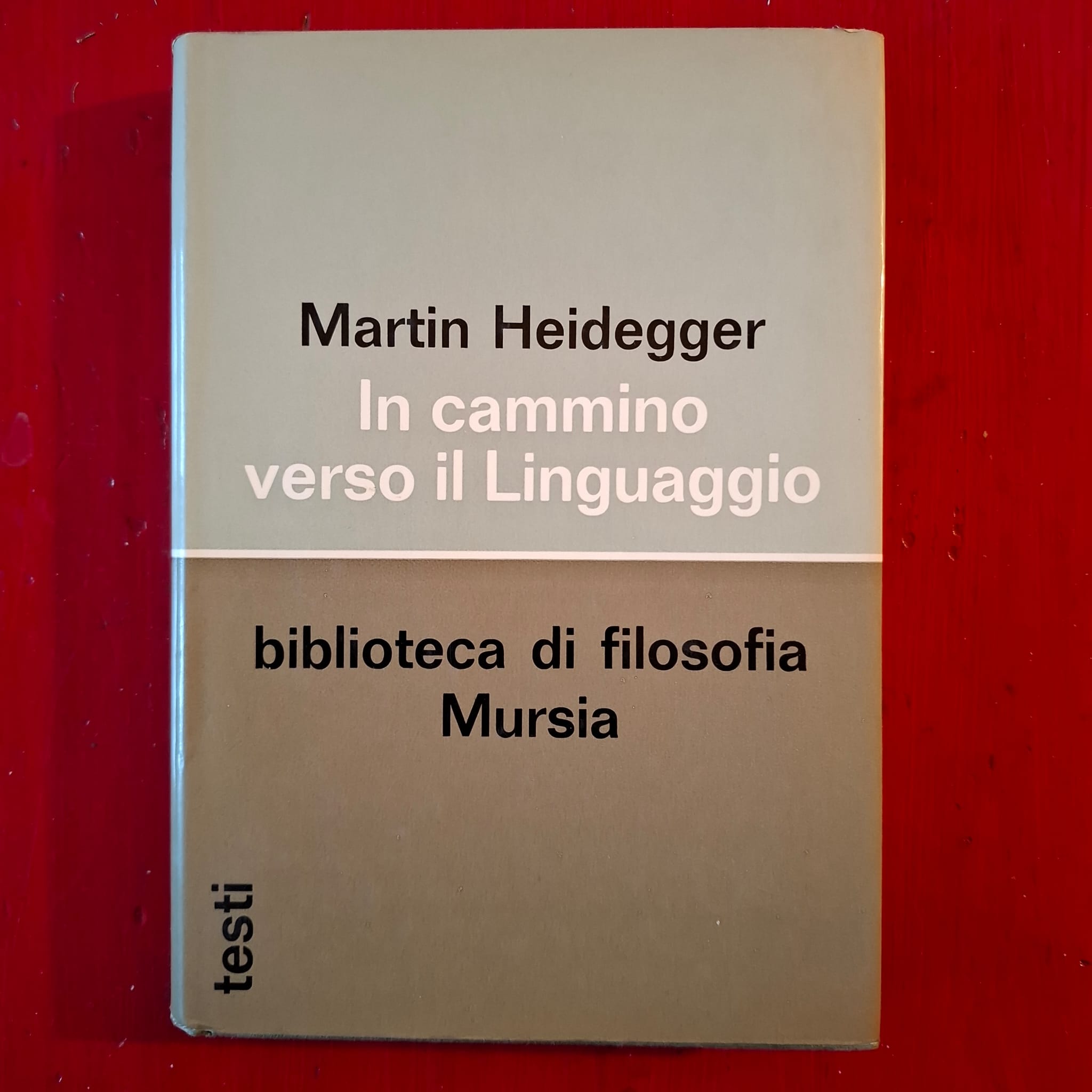 In cammino verso il Linguaggio