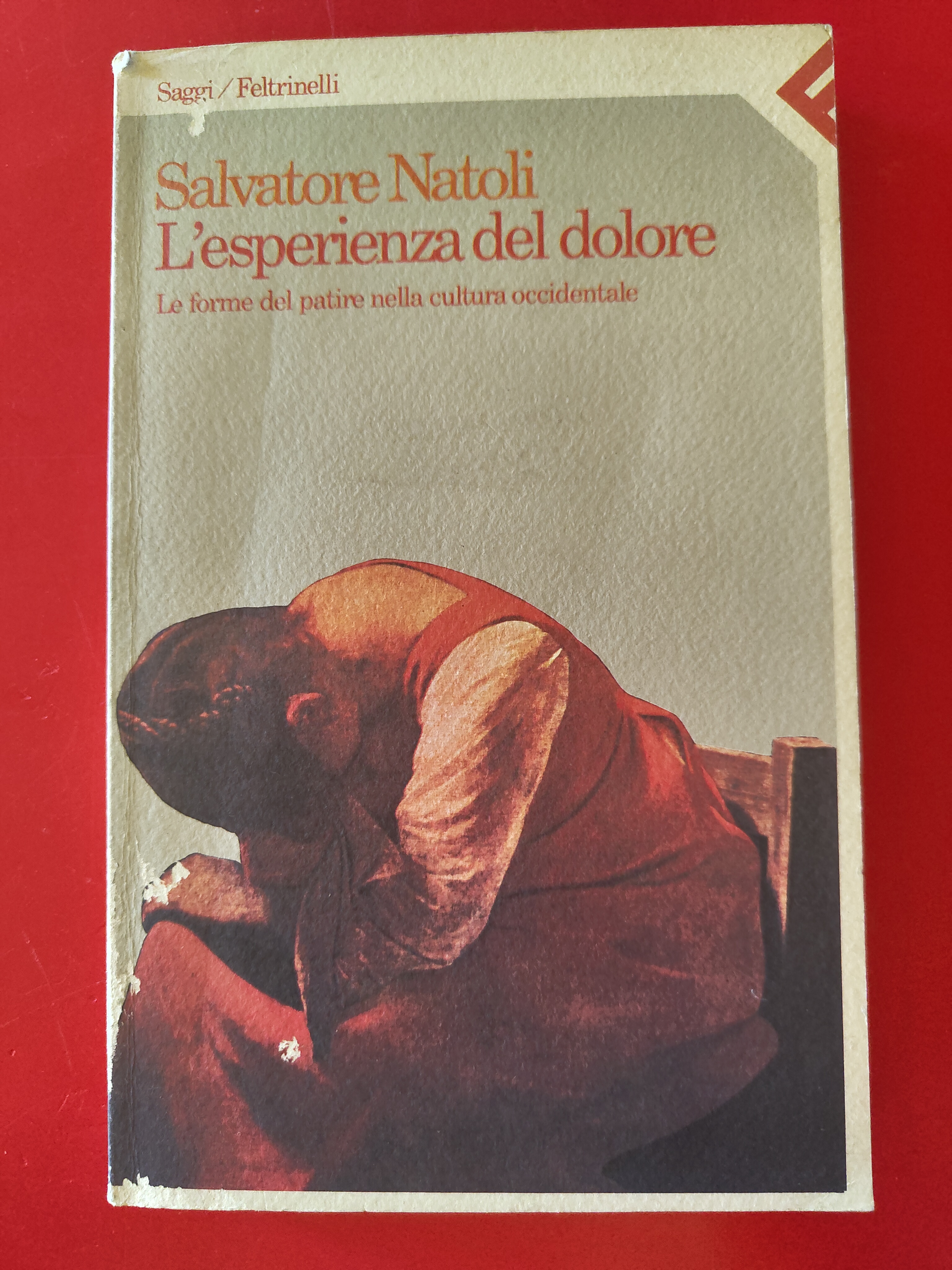 L'esperienza del dolore