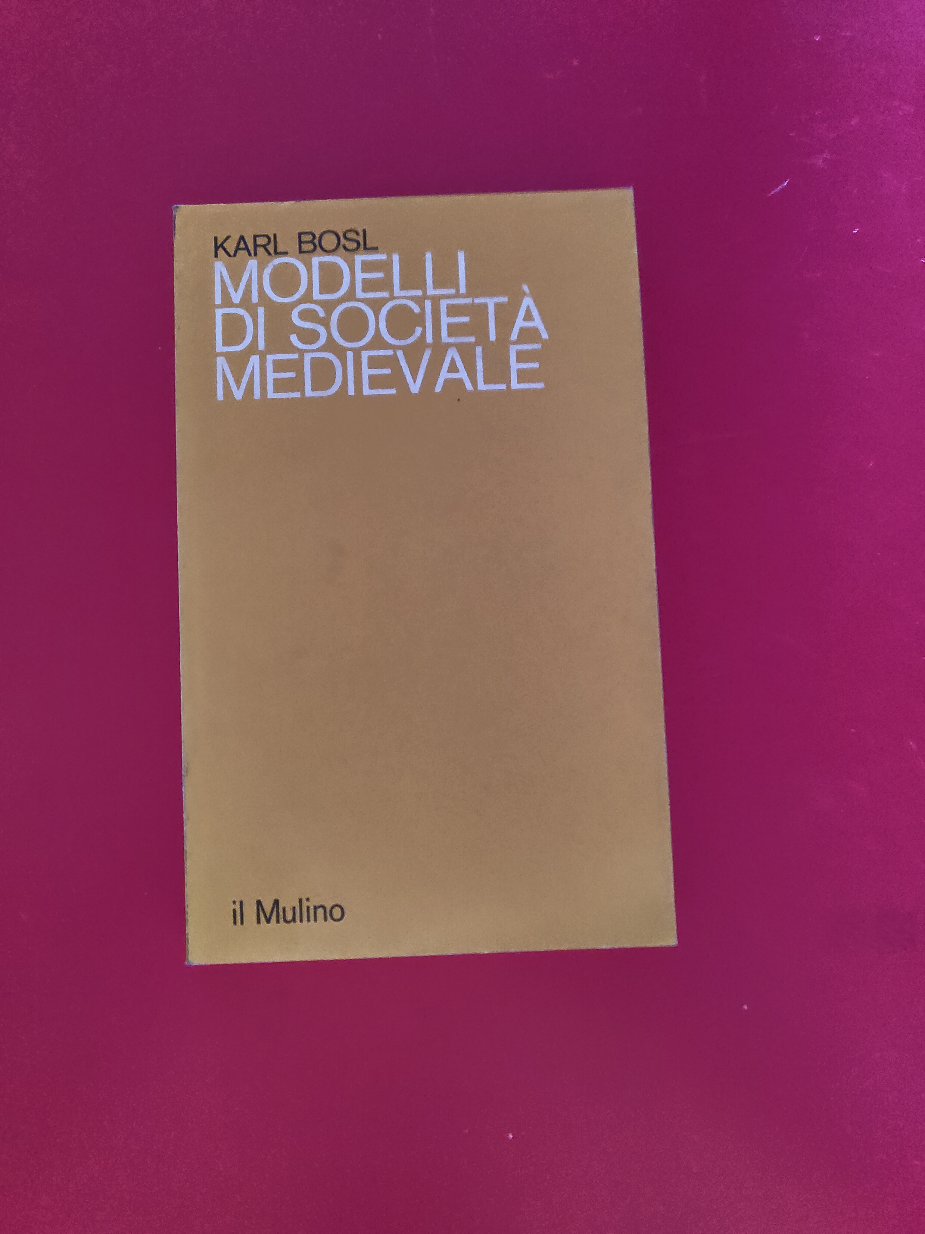 Modelli di società Medievale