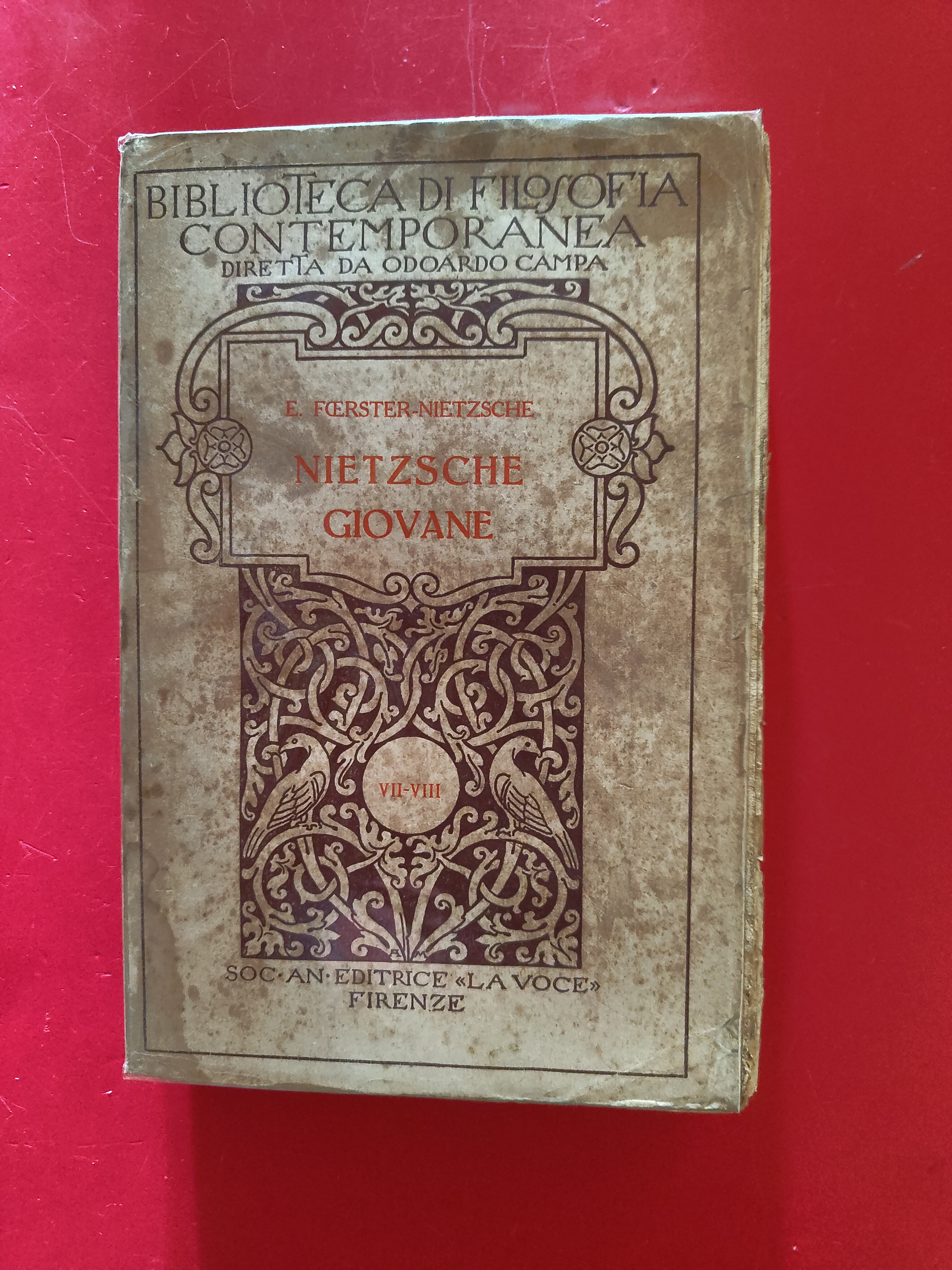 Nietzsche giovane