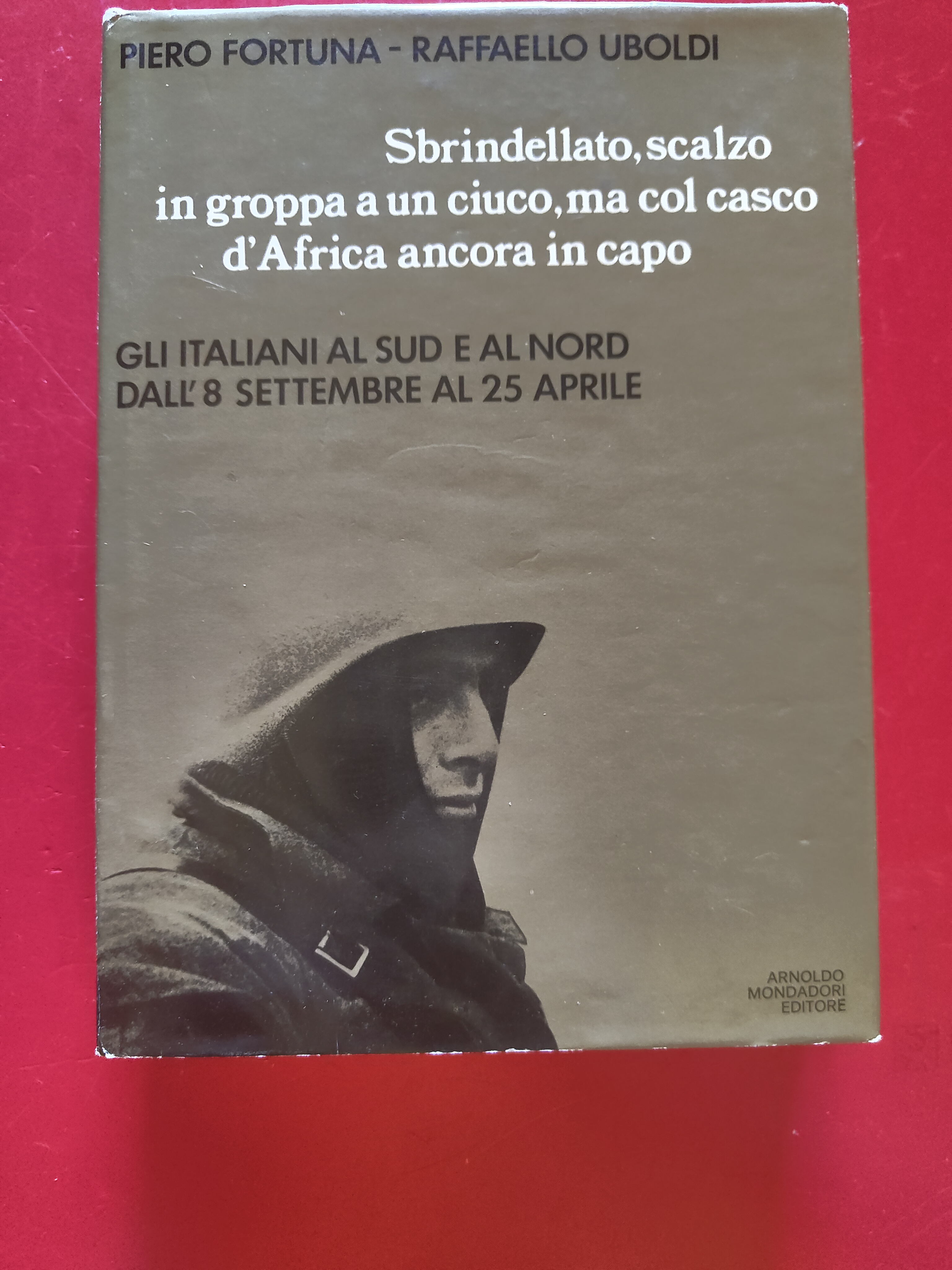 Sbrindellato, scalzo in groppa a un cuiccio, ma col casco …