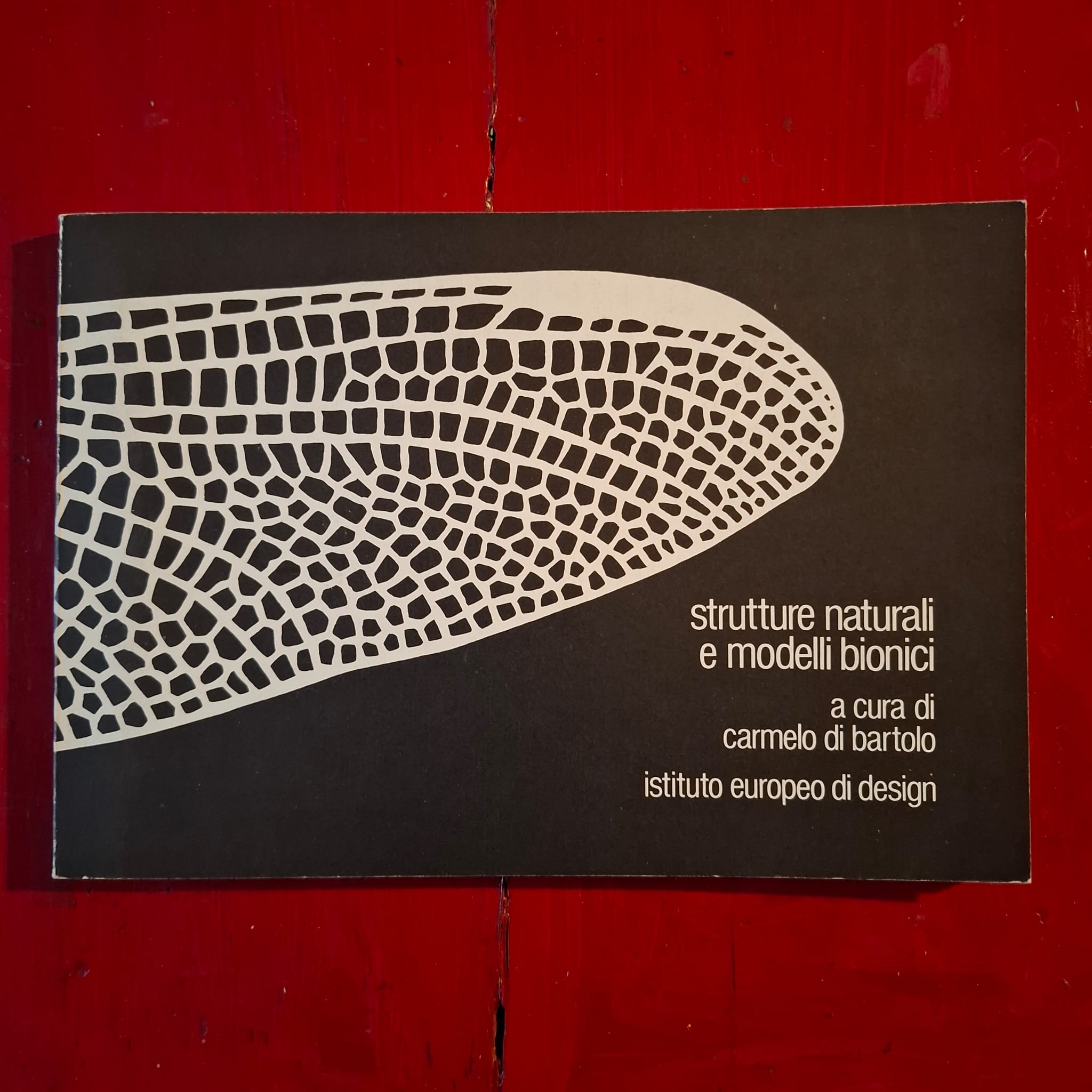 Strutture naturali e modelli bionici