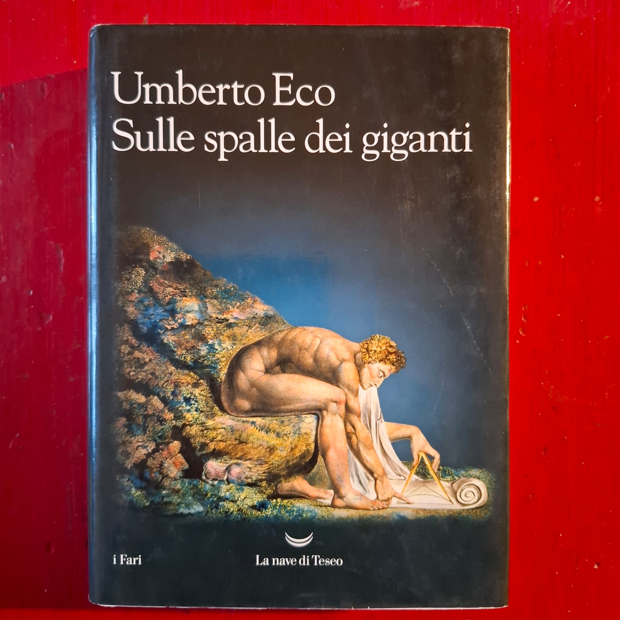 Sulle spalle dei giganti