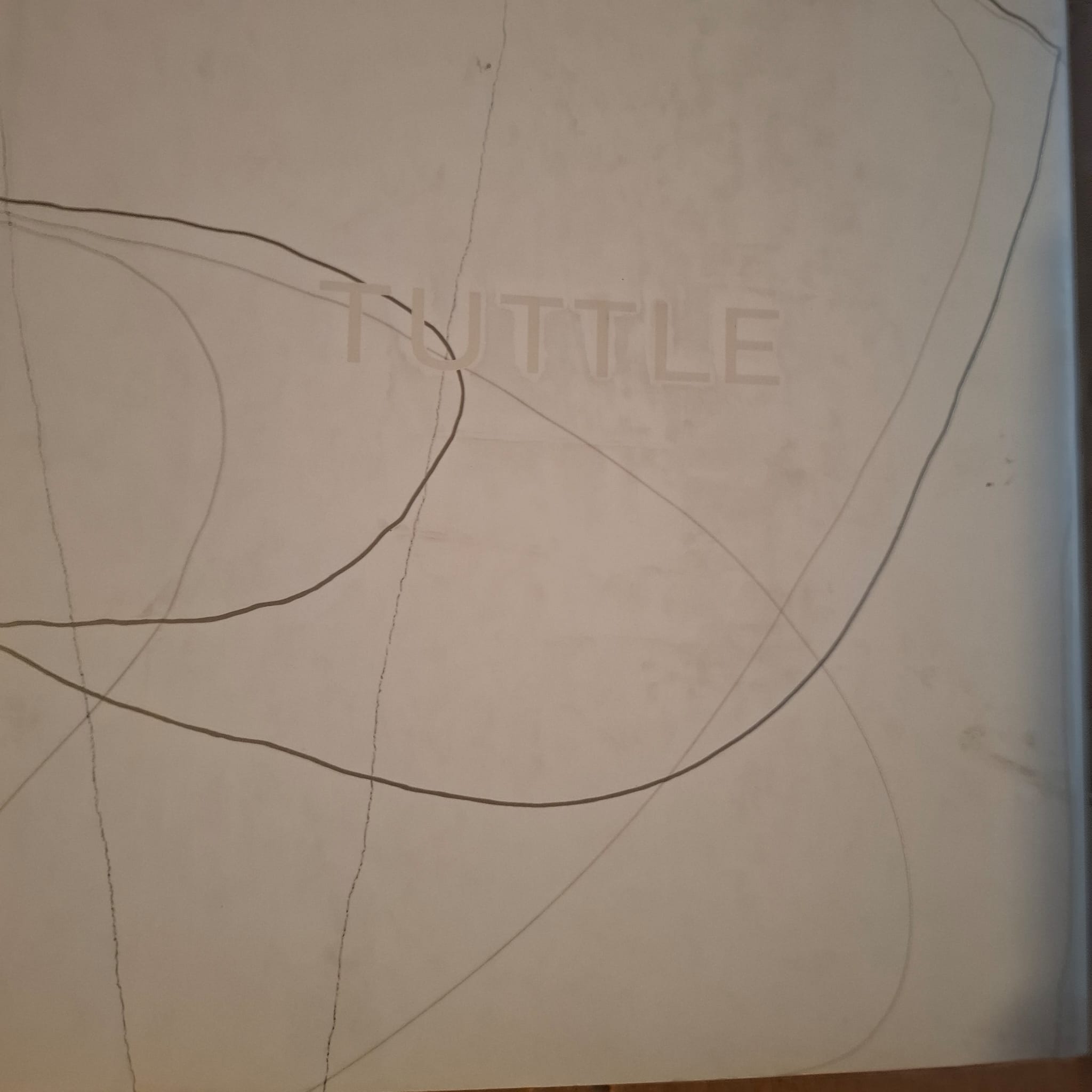 Thr Art of Richard Tuttle