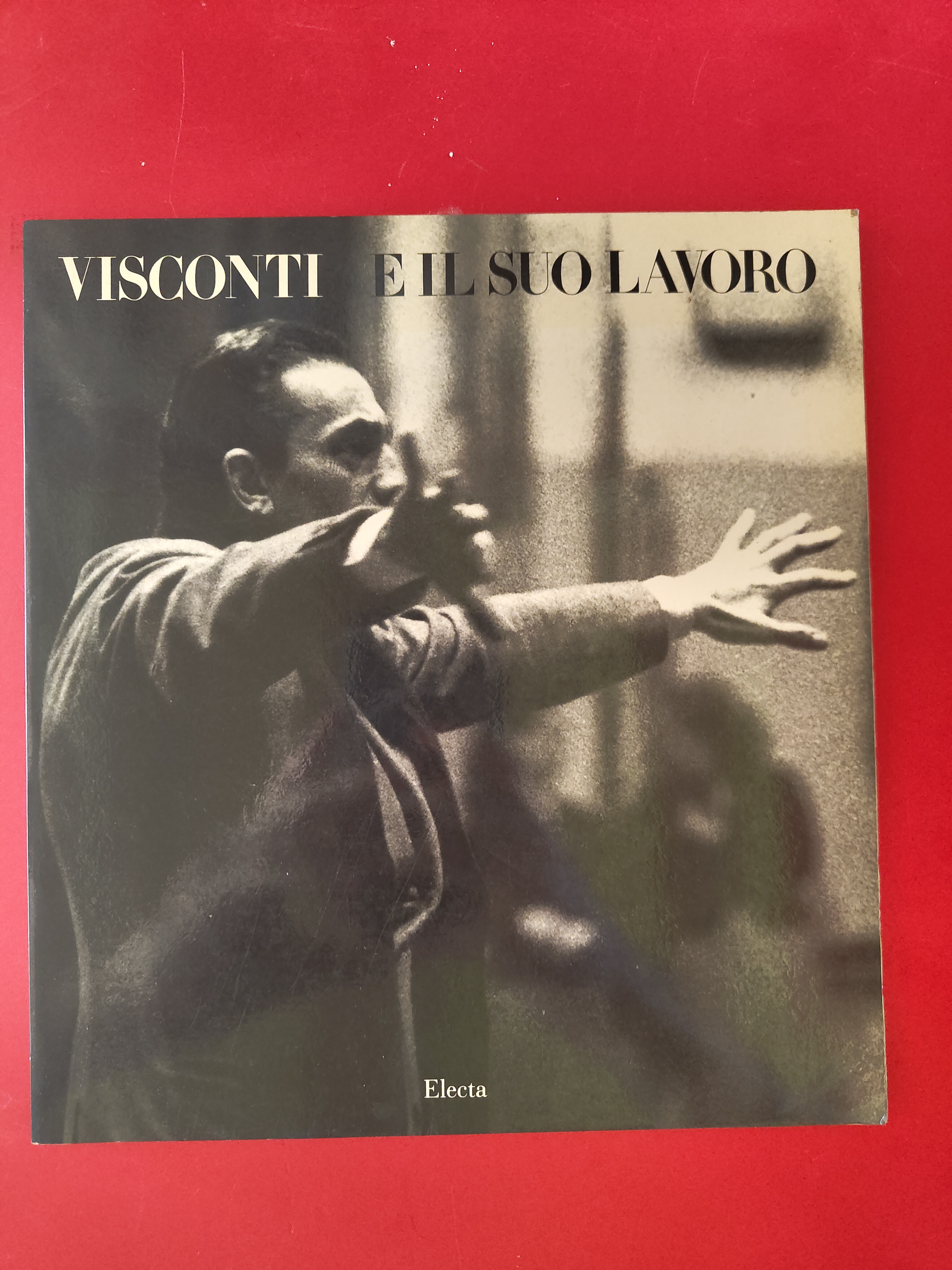 Visconti e il suo lavoro