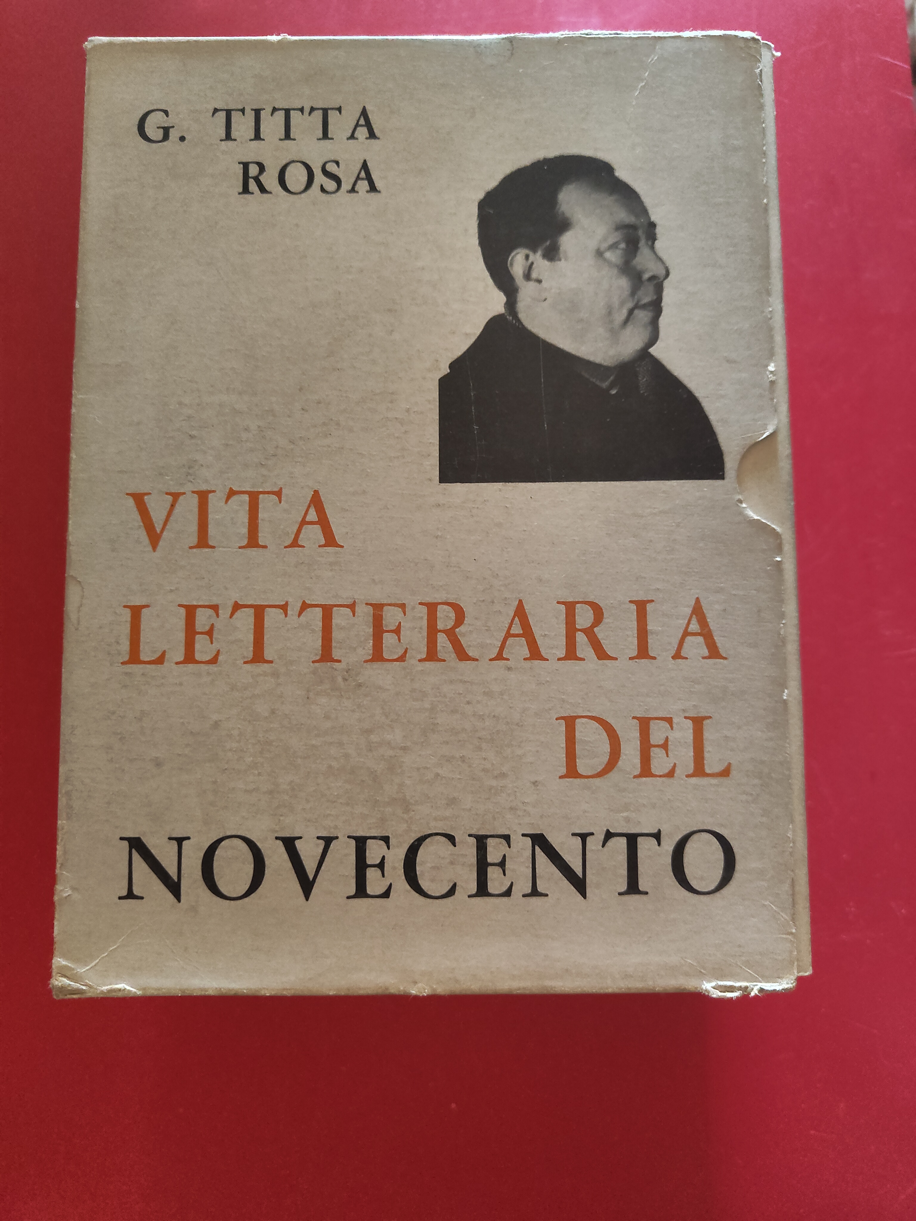 Vita letteraria del Novecento