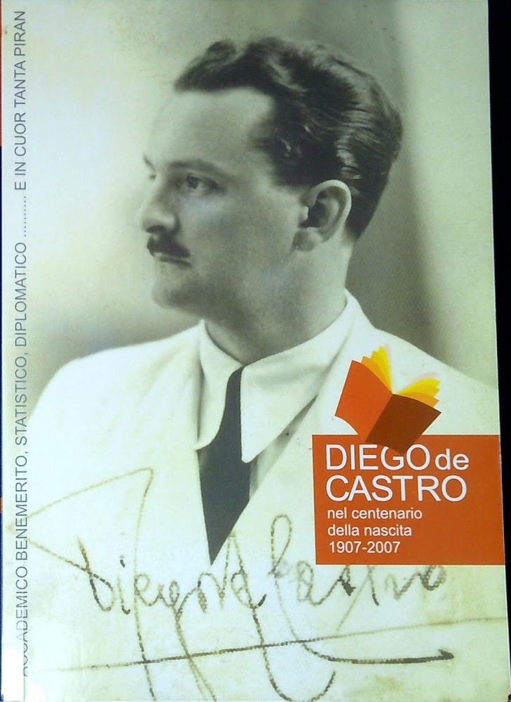 Diego de Castro : nel centenario della nascita 1907-2007