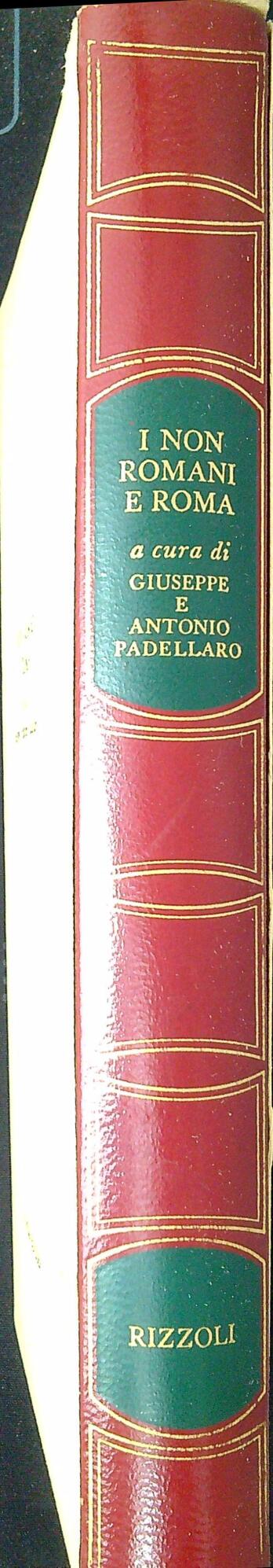 I non romani e Roma : testimonianze e confessioni