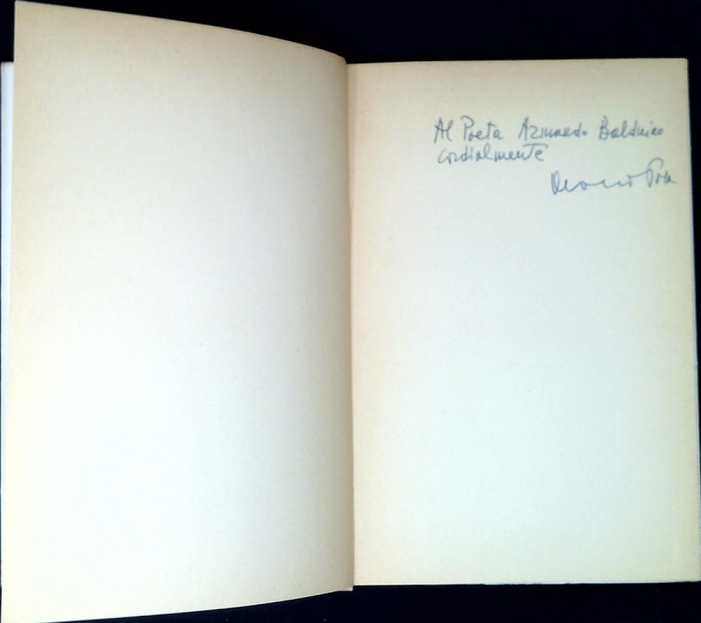 Il porto lucente : poesie