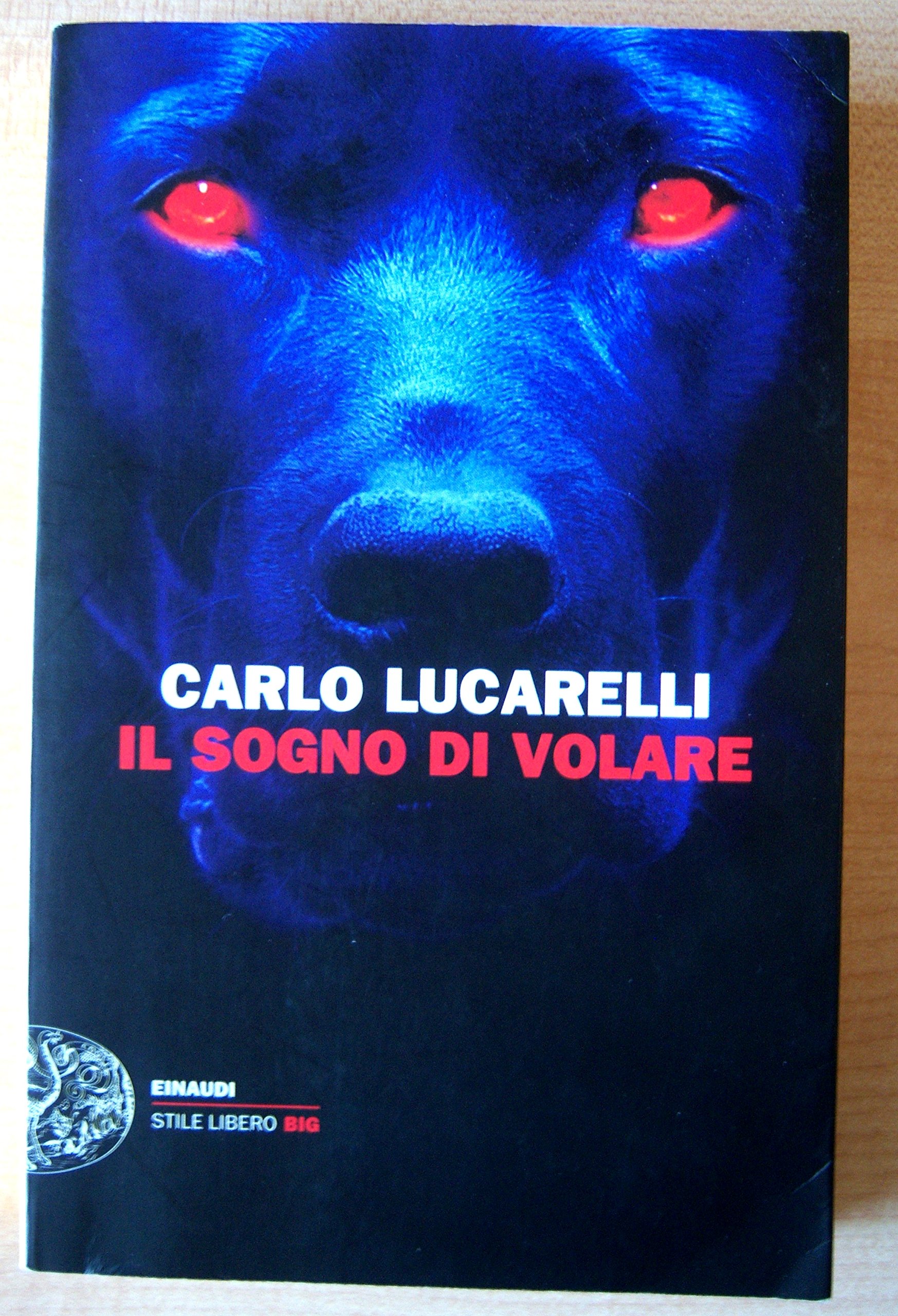 Il sogno di volare