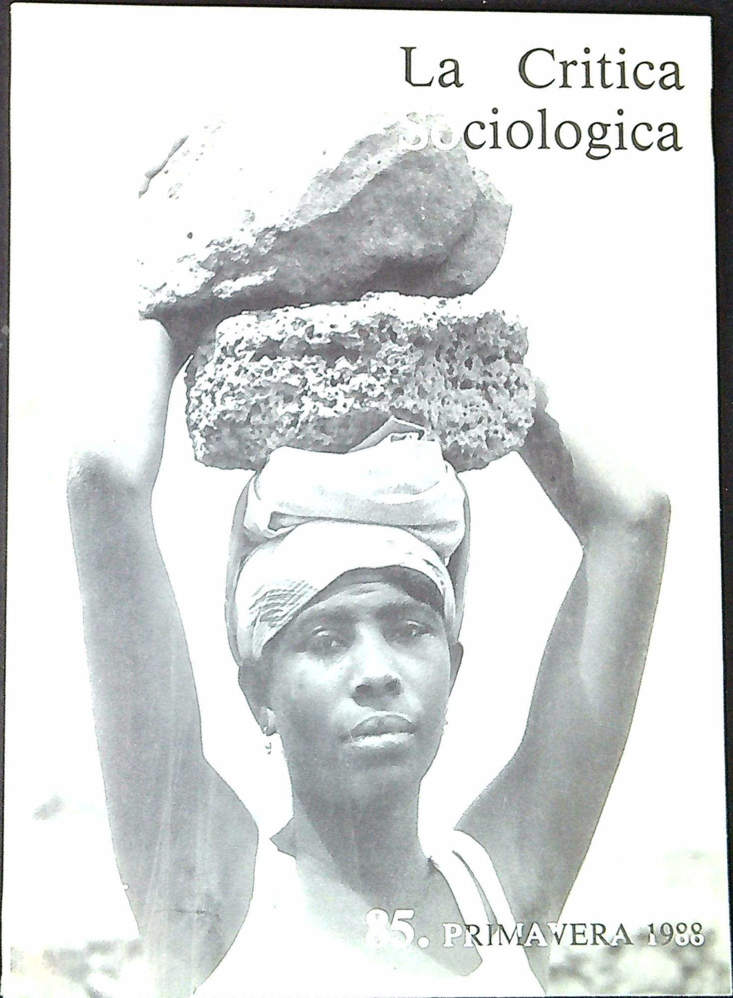 La critica sociologica n. 85