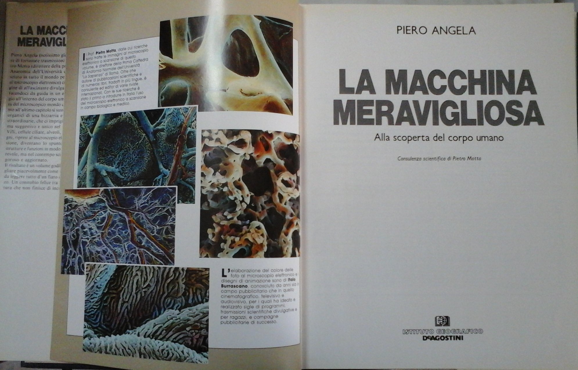 La macchina meravigliosa. Alla scoperta del corpo umano