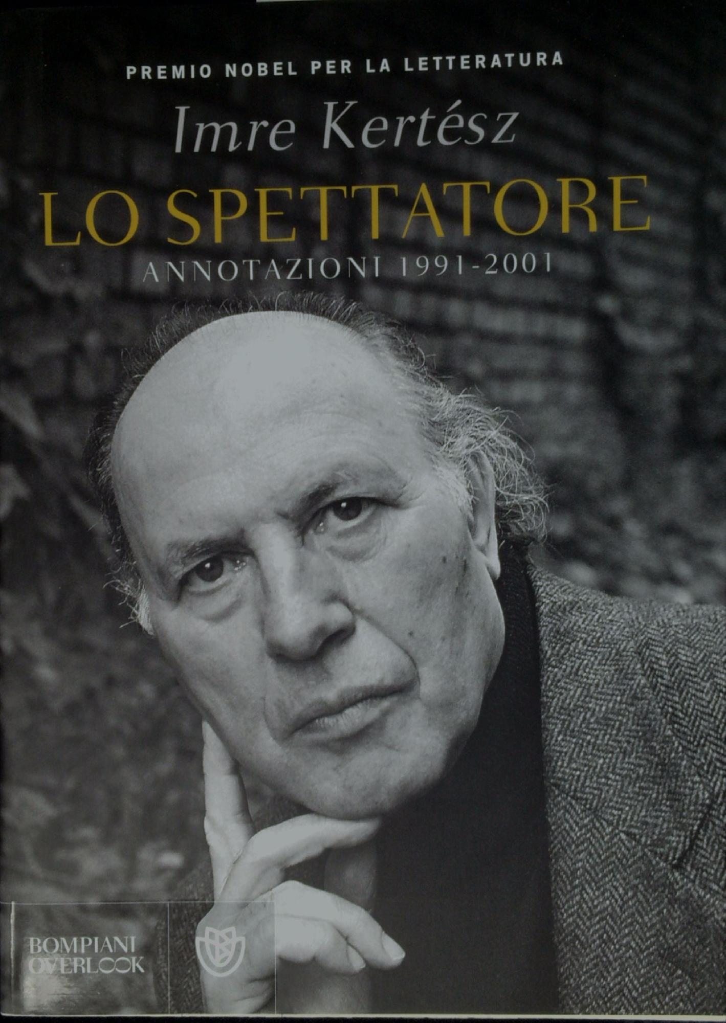 Lo spettatore : annotazioni, 1991-2001