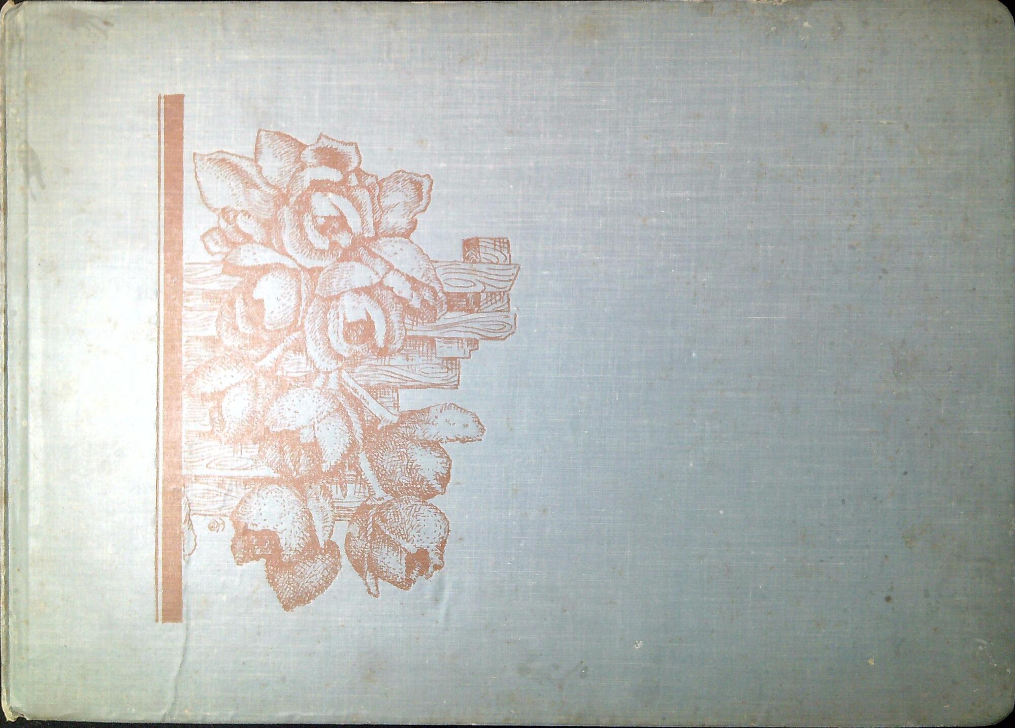 Orquideas Colombianas / Colombian Orchids