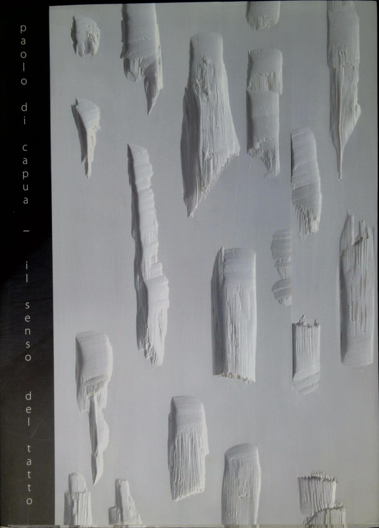 Paolo Di Capua: il senso del tatto