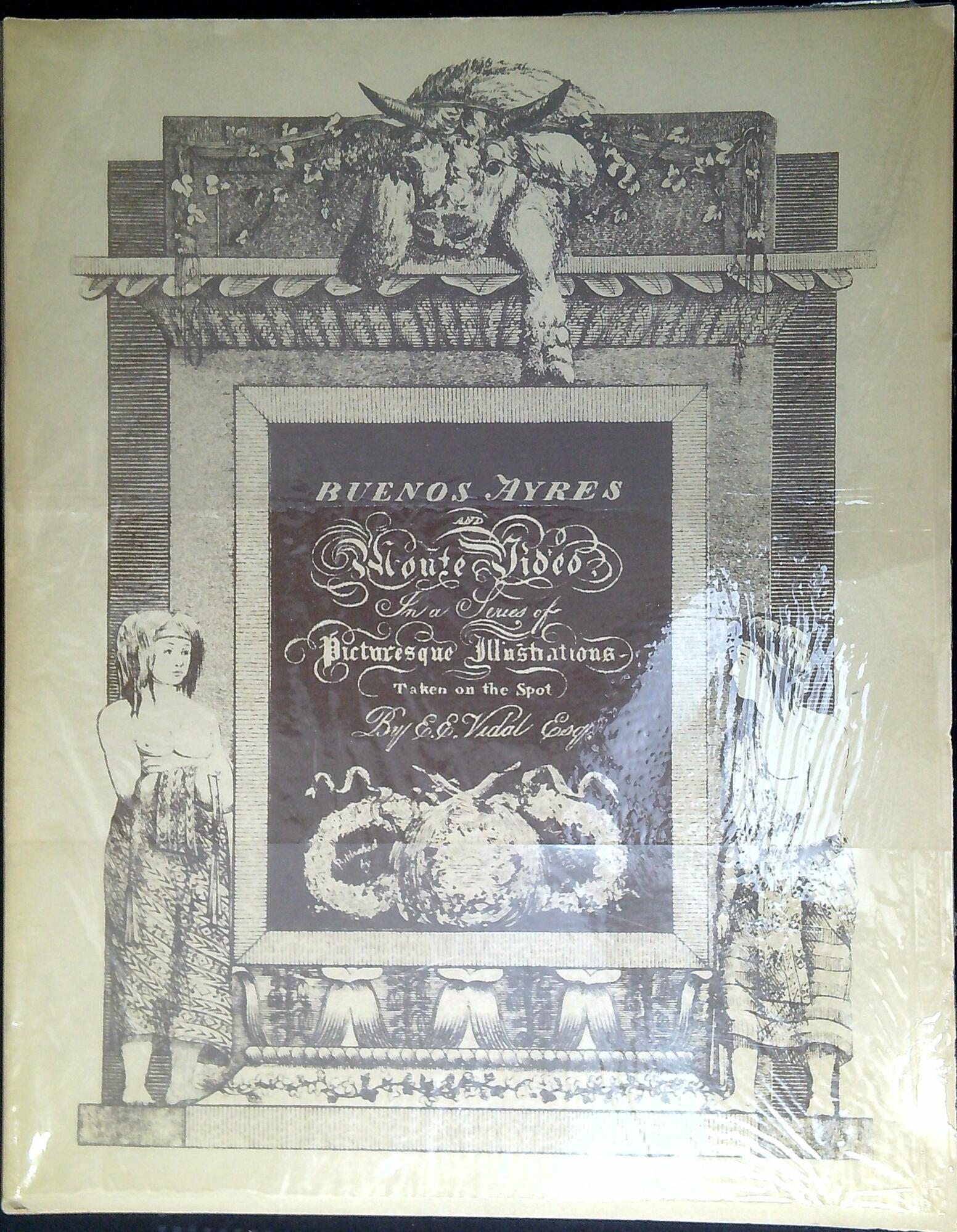 Picturesque illustrations of Buenos Ayres and Monte Video, consisting of …