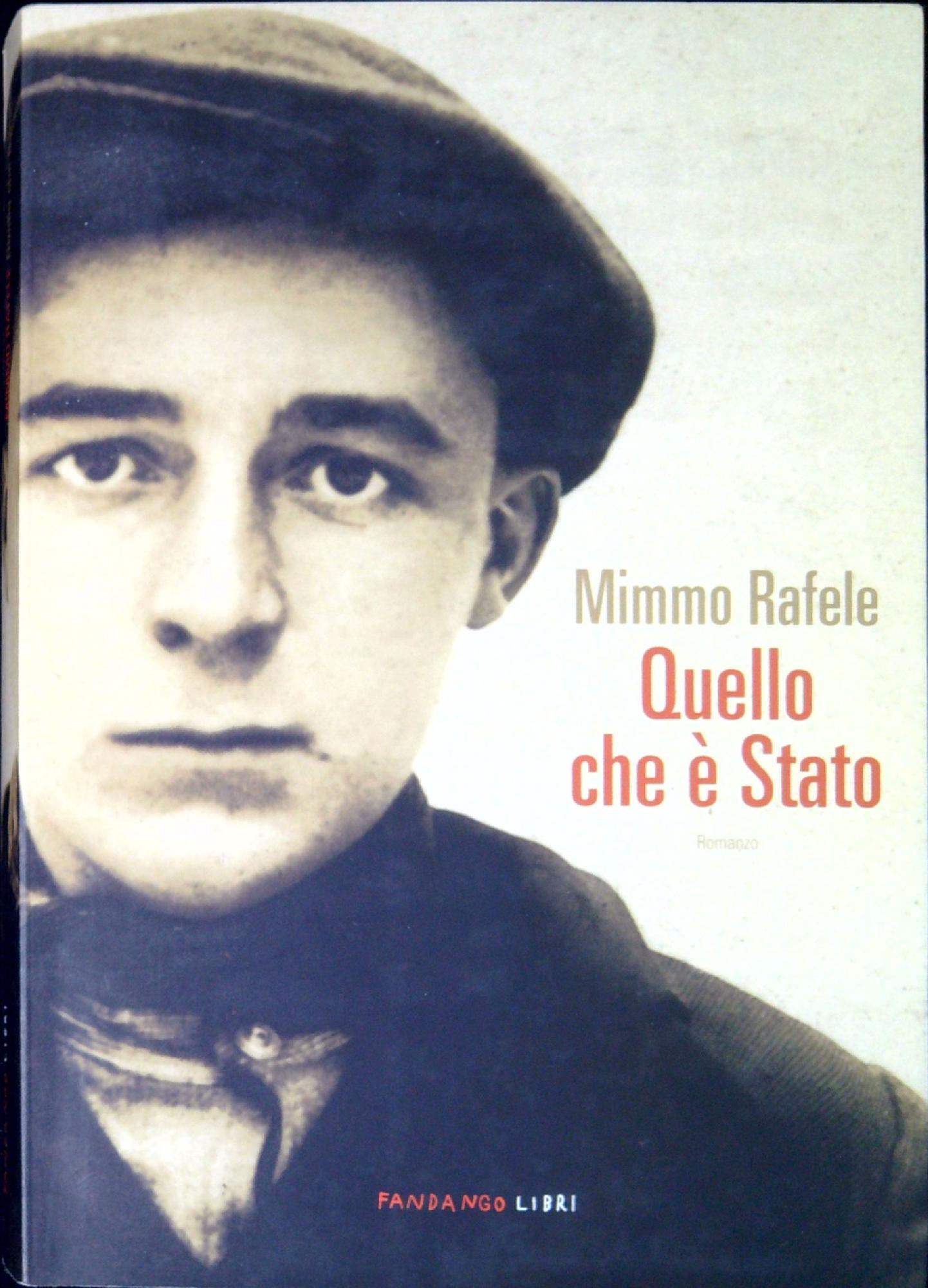 Quello che è stato : romanzo della storia d'Italia dalla …