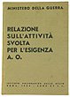 Relazione Sull'attivita' Svolta Per L'esigenza A. O.