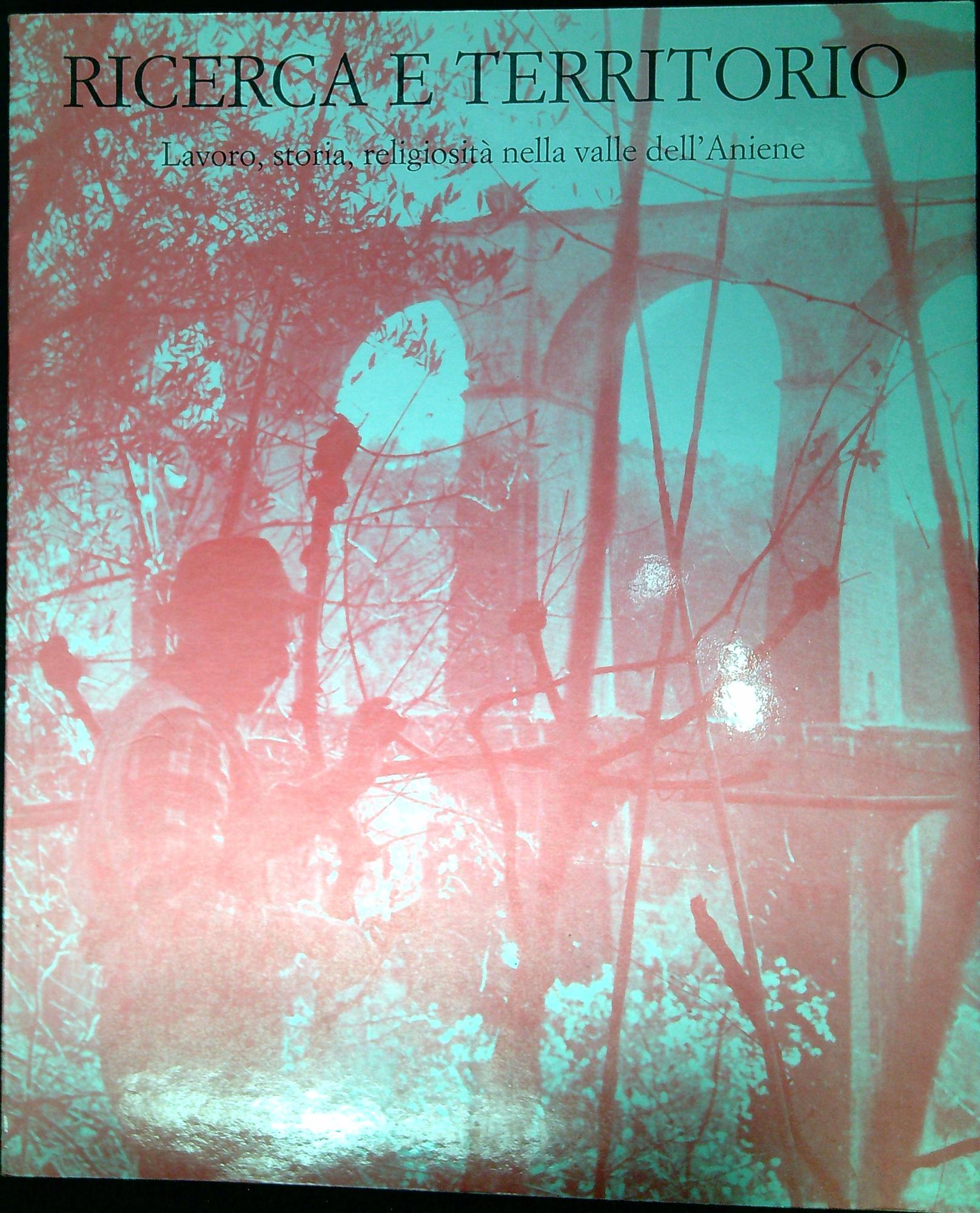 Ricerca e terrritorio : lavoro, storia, religiosità nella valle dell'Aniene