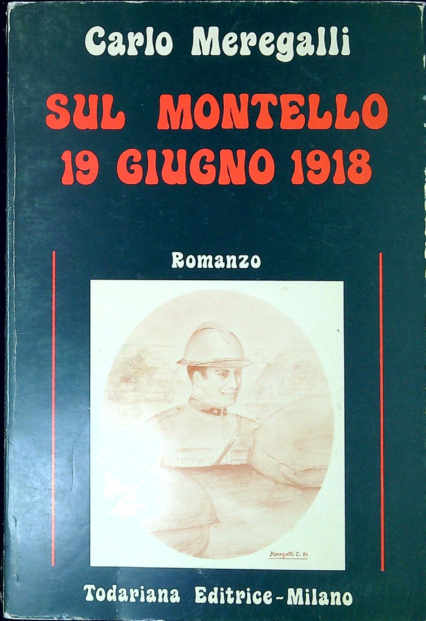 Sul Montello, 19 giugno 1918 : romanzo