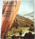 Medici a Firenze. Un'officina di cultura europea
