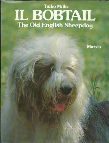 Il Bobtail. The old English sheepdog