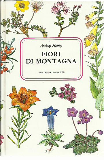 Fiori di montagna