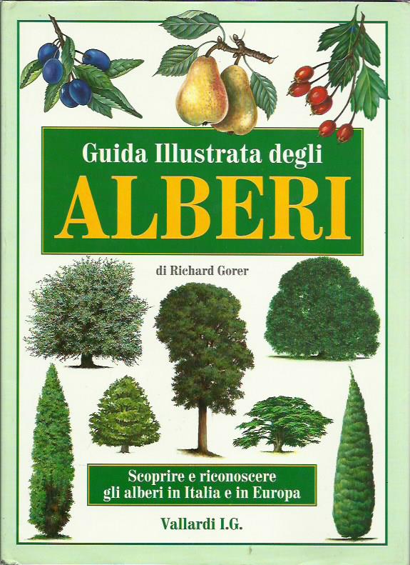 Guida illustrata degli alberi