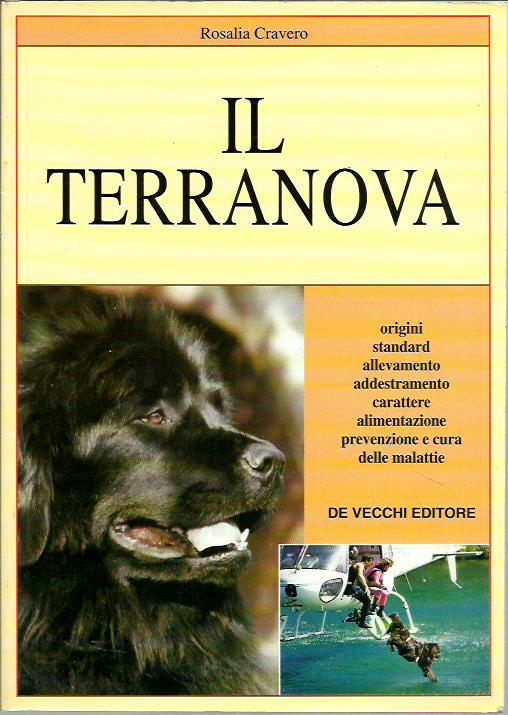 Il Terranova