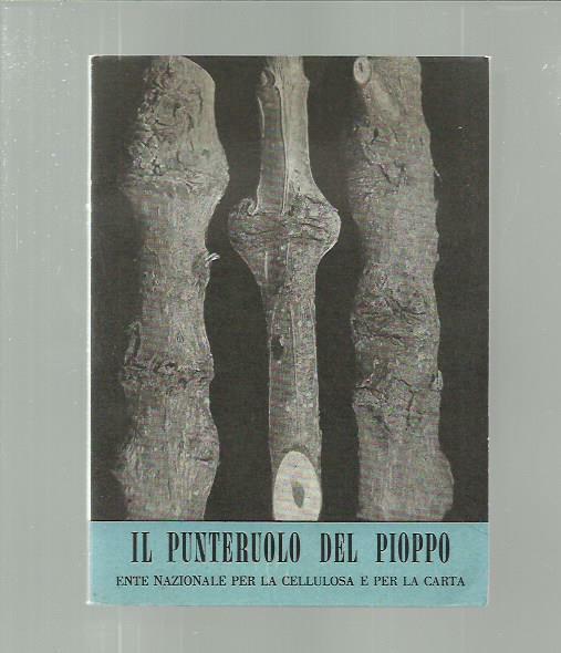 Il punteruolo del pioppo (I nemici del pioppo 6)